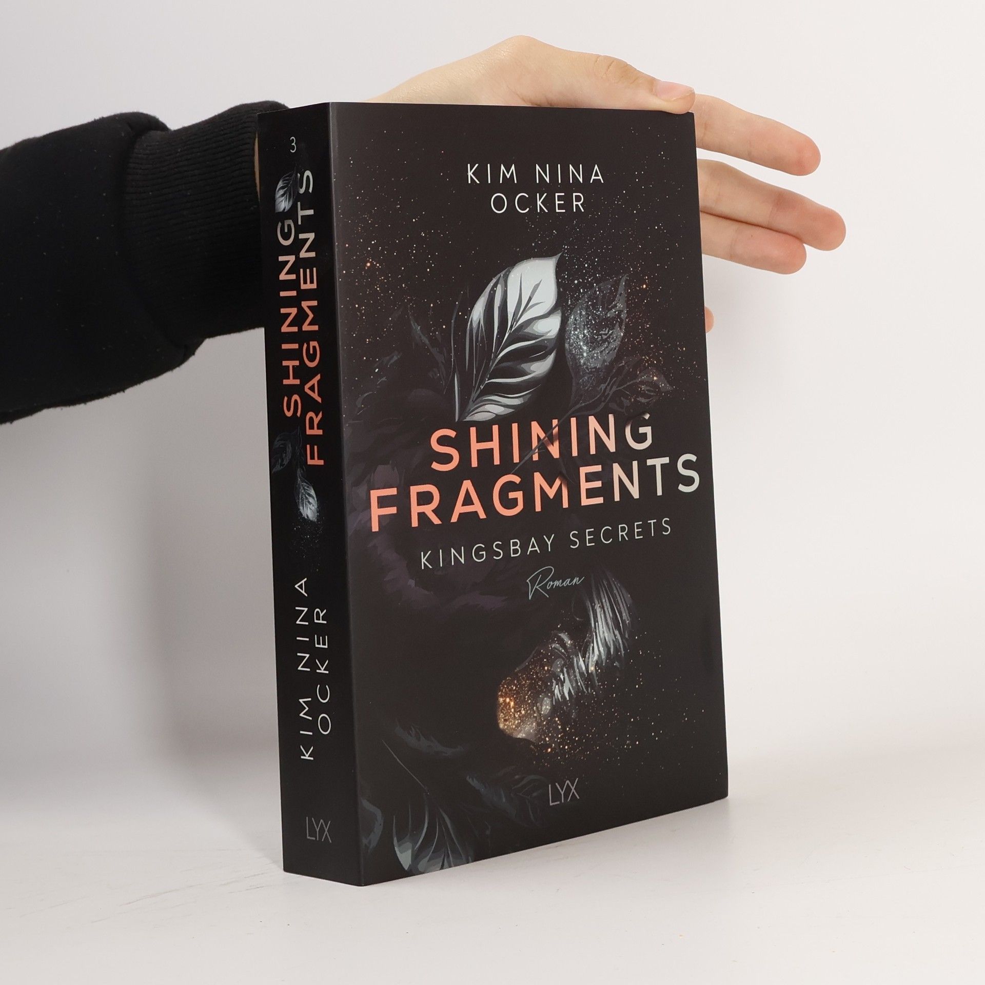 Kim Nina Ocker Shining Fragments