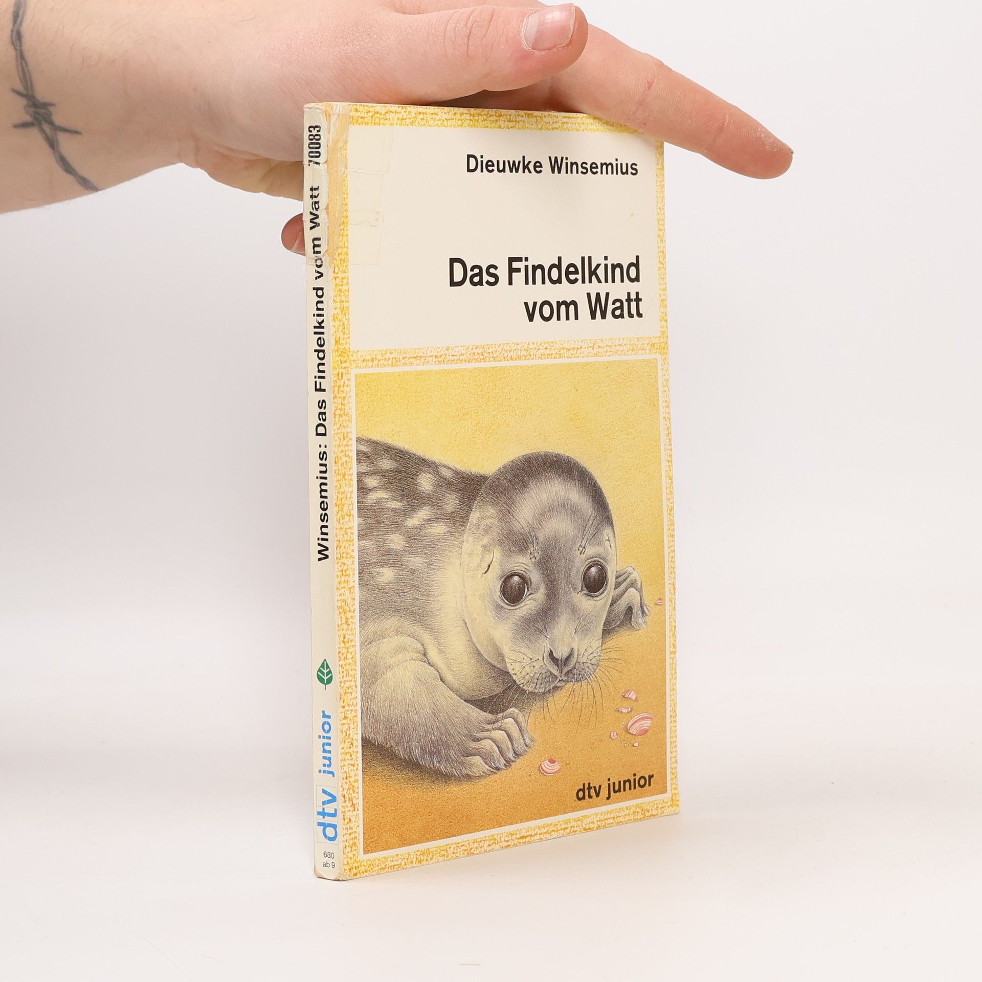 Dieuwke Winsemius Das Findelkind vom Watt