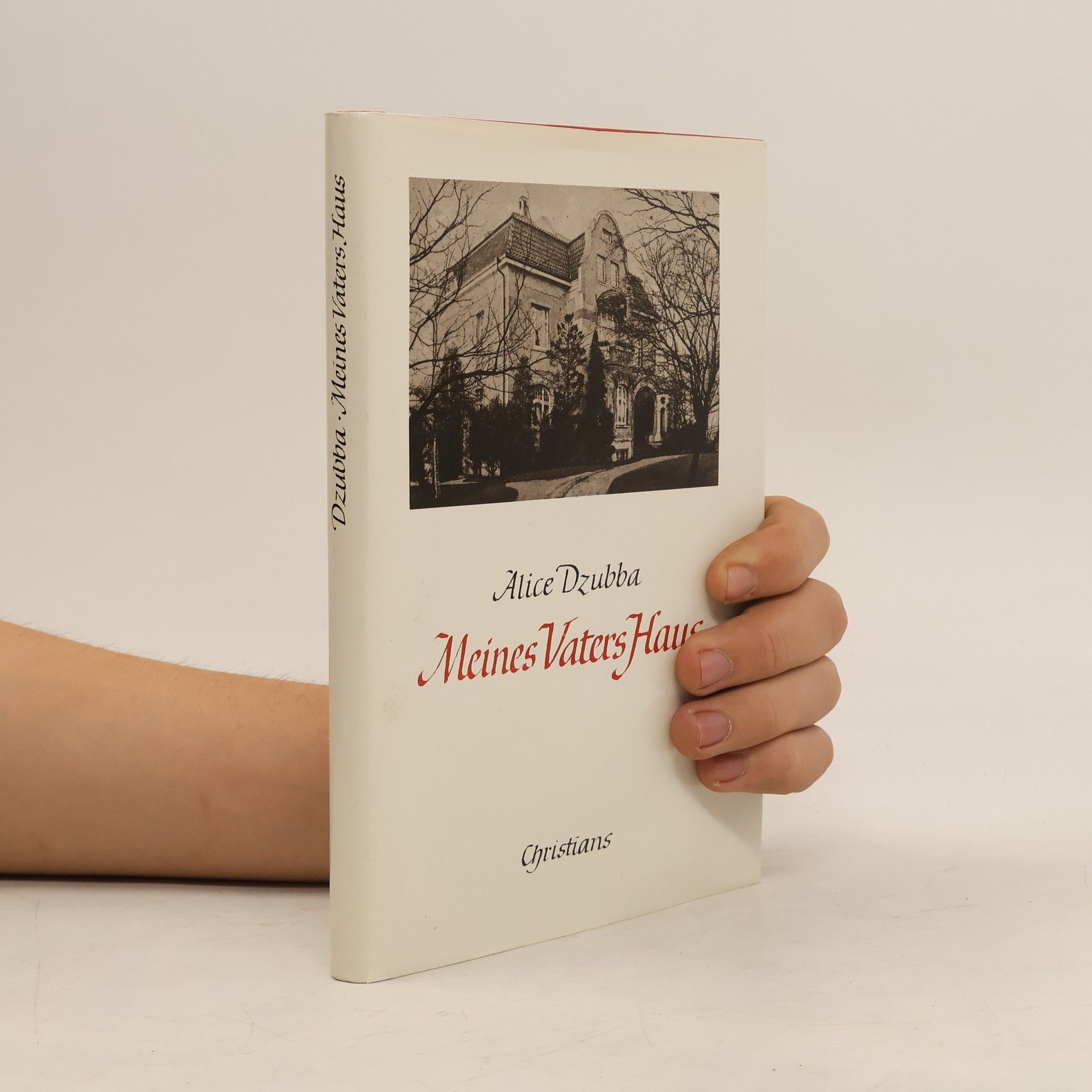 Alice Dzuba Meines Vaters Haus oder Schicksalsjahre einer Unternehmertochter