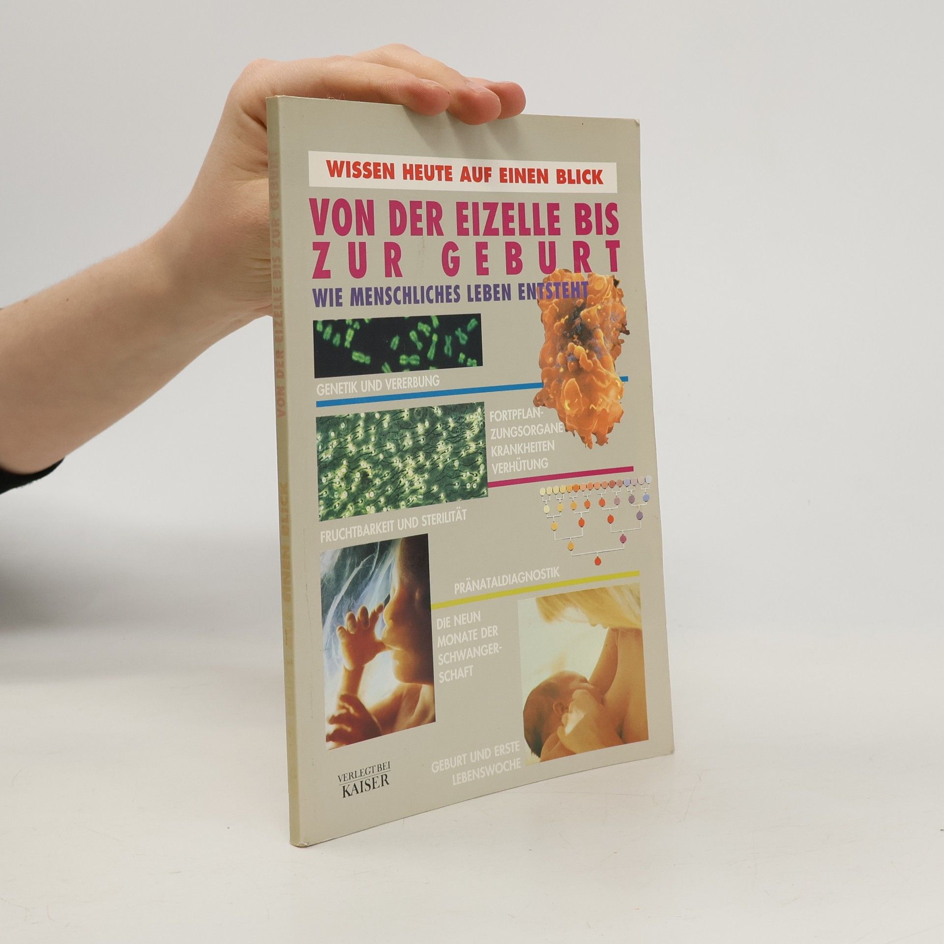 Von der Eizelle bis zur Geburt