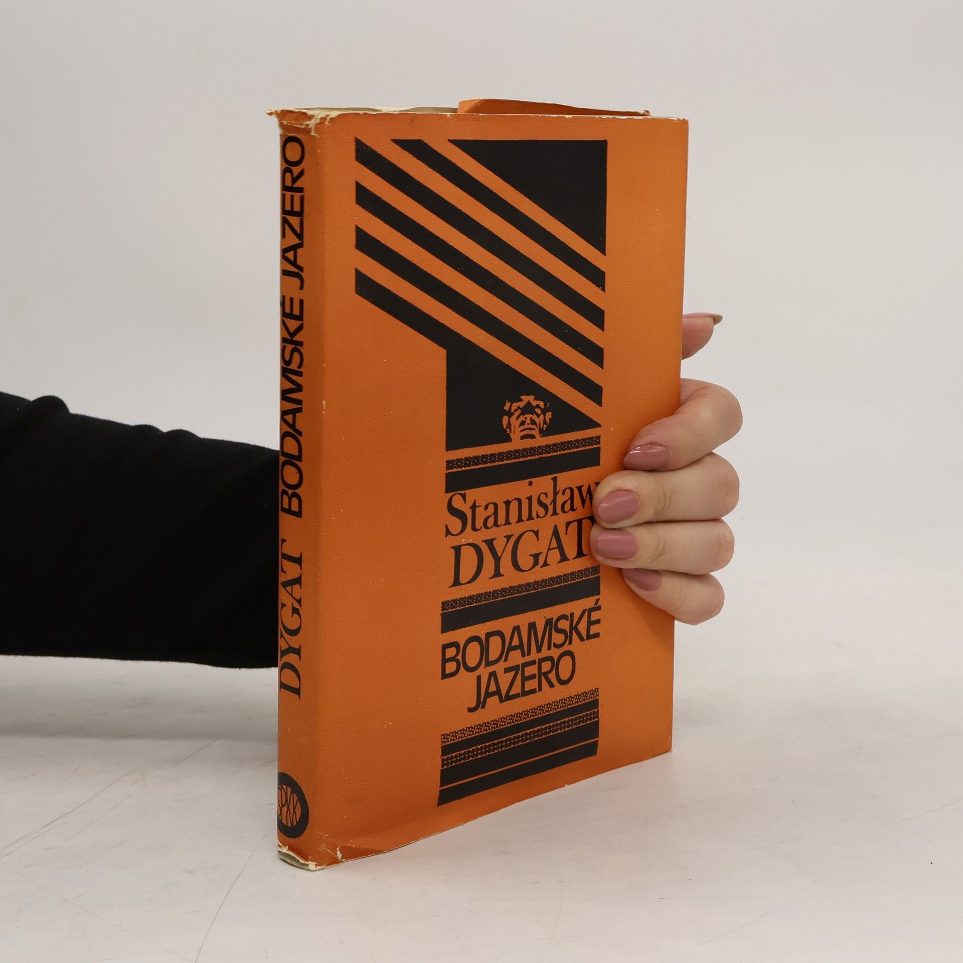 Stanisław Dygat Bodamské jazero