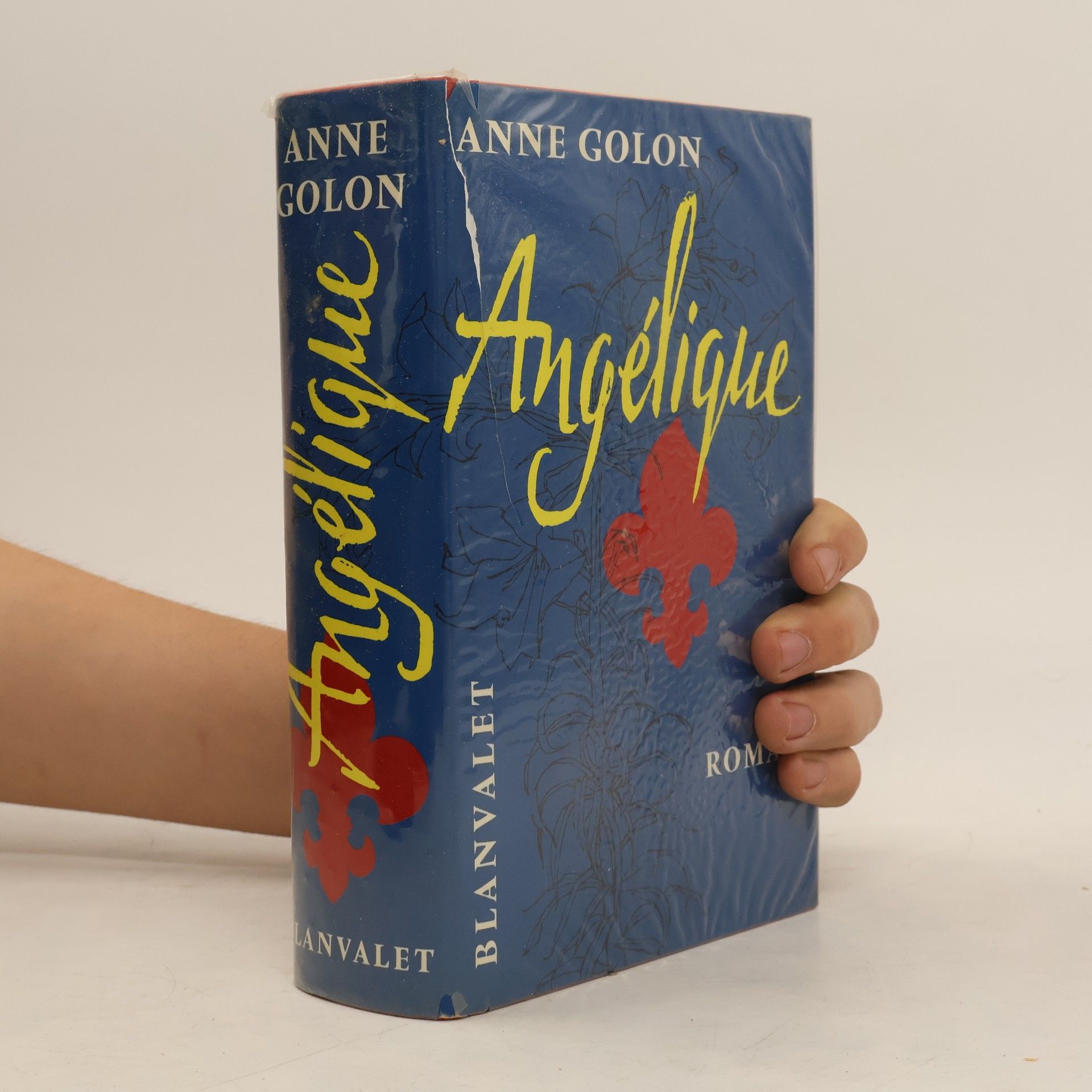 Anne Golon Angélique