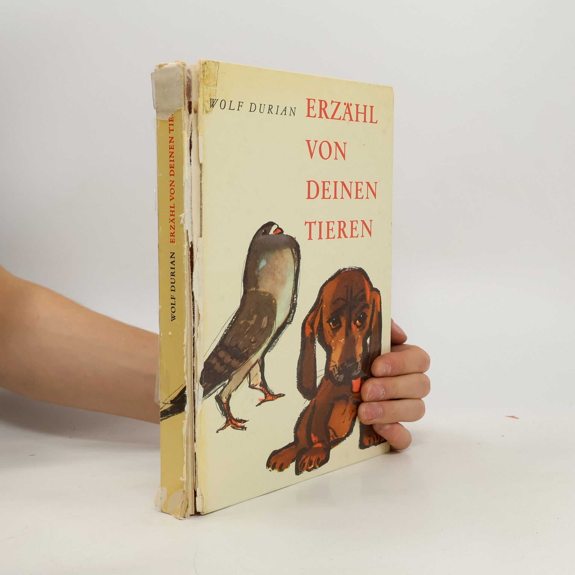 Erzähl von deinen Tieren