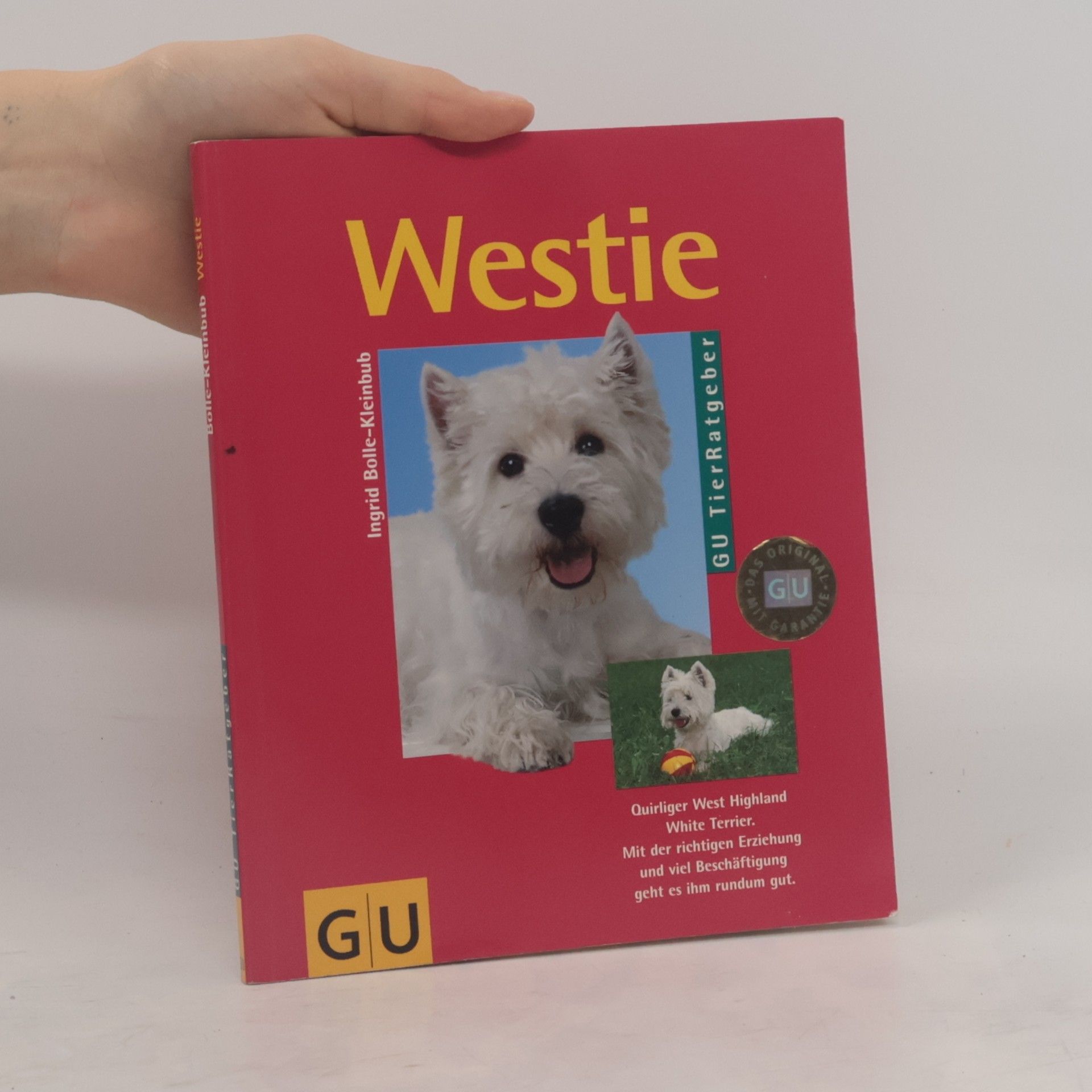 Westie