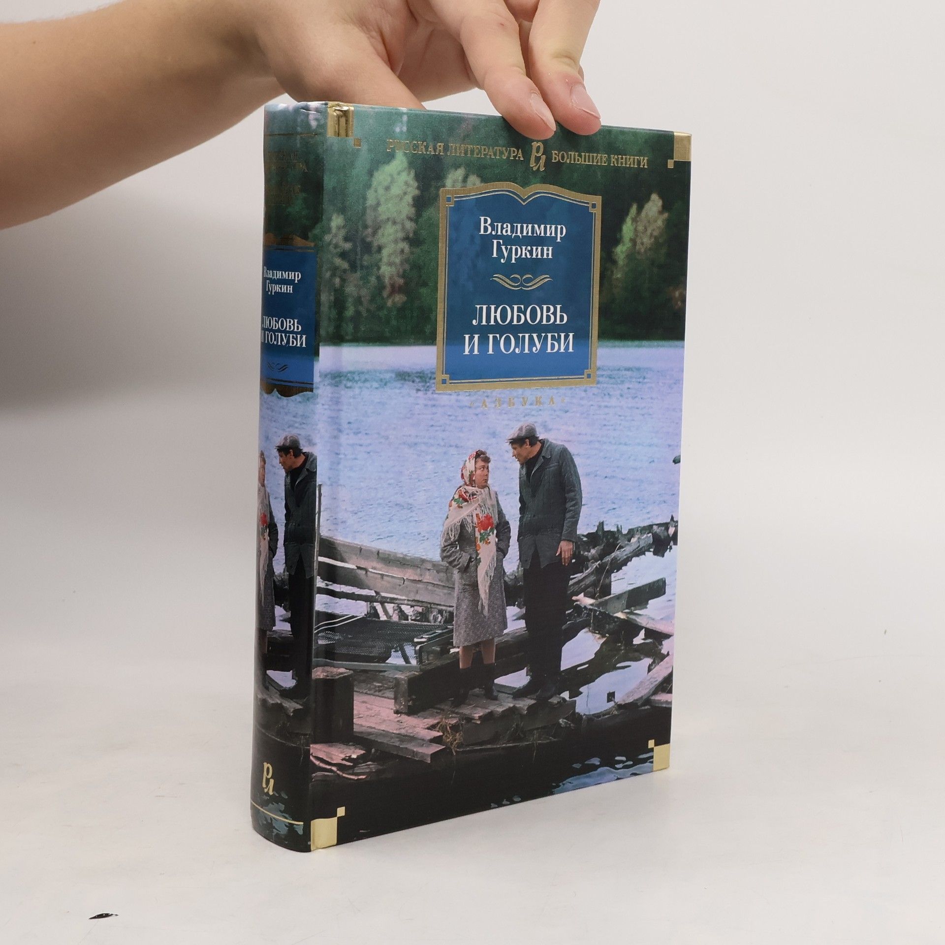 Владимир Гуркин Любовь и голуби