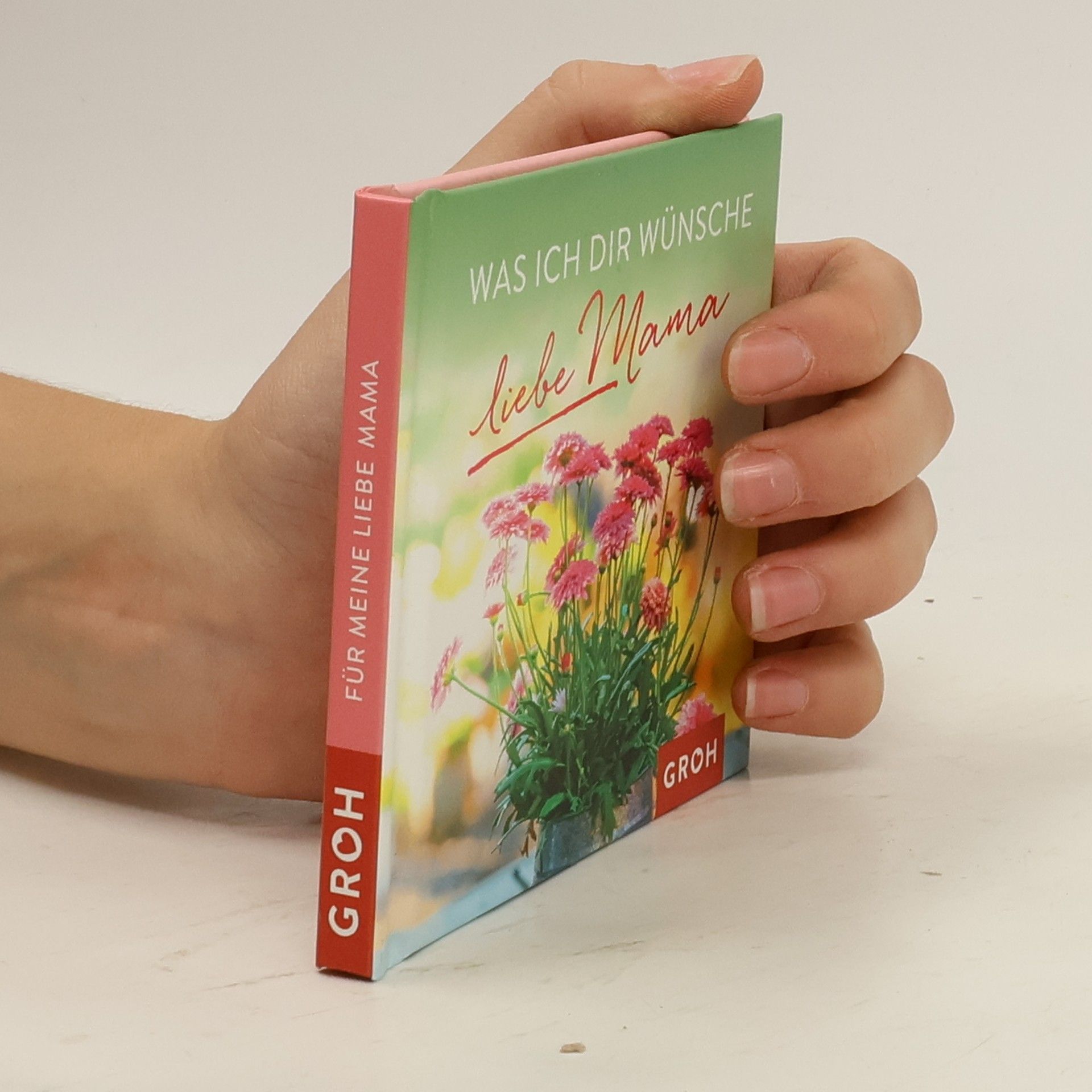 Autores varios Was ich dir wünsche, liebe Mama