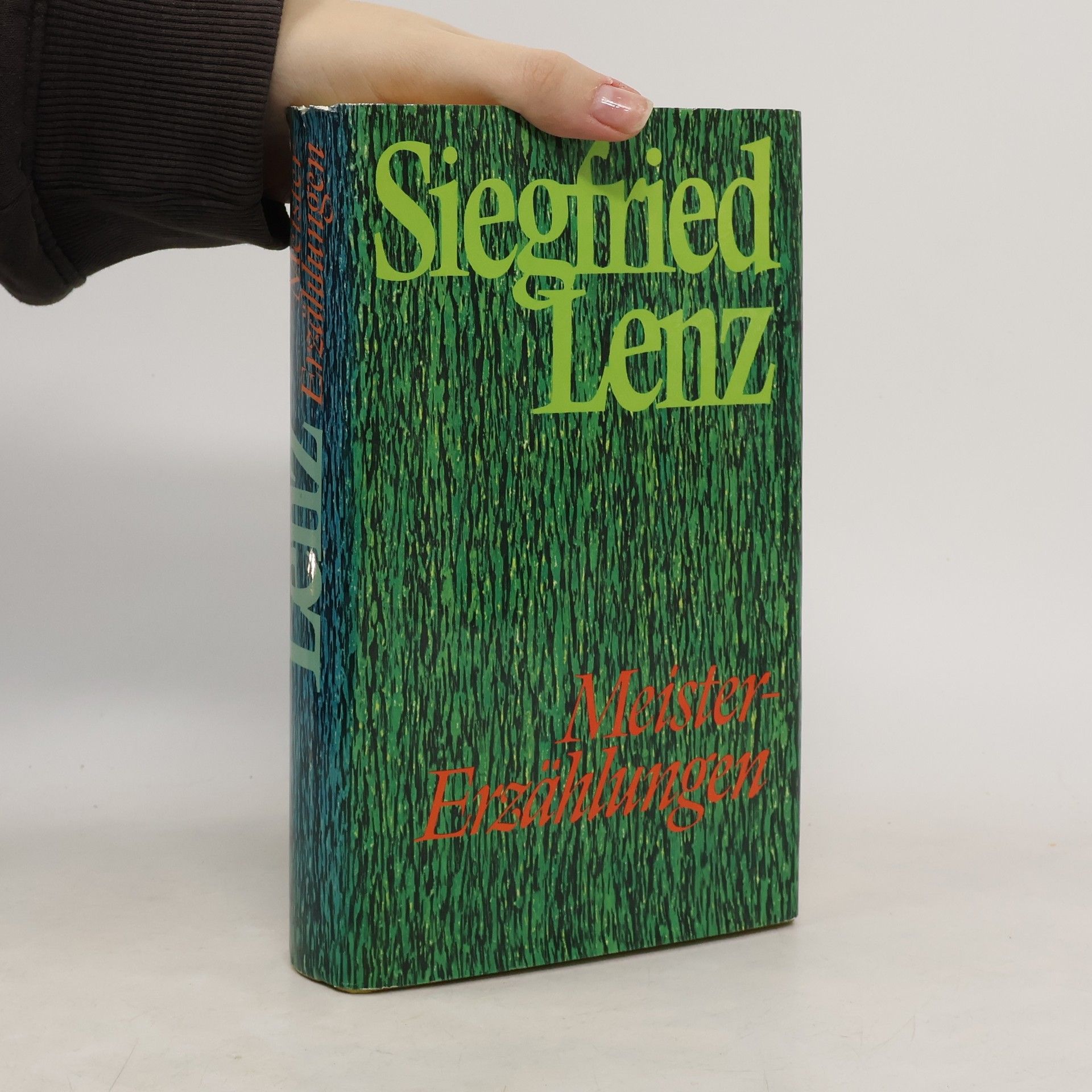 Siegfried Lenz Meistererzählungen