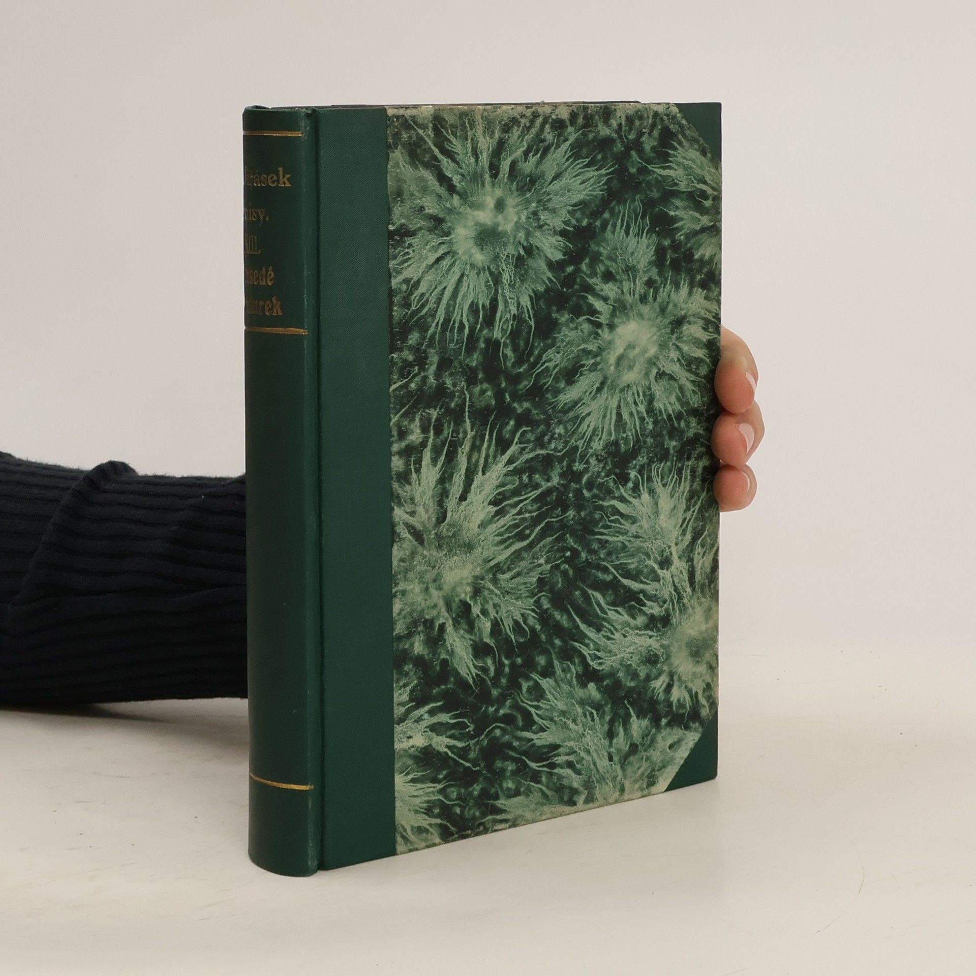 Alois Jirásek Sebrané spisy Aloisa Jiráska XIII. Sousedé. Pandurek