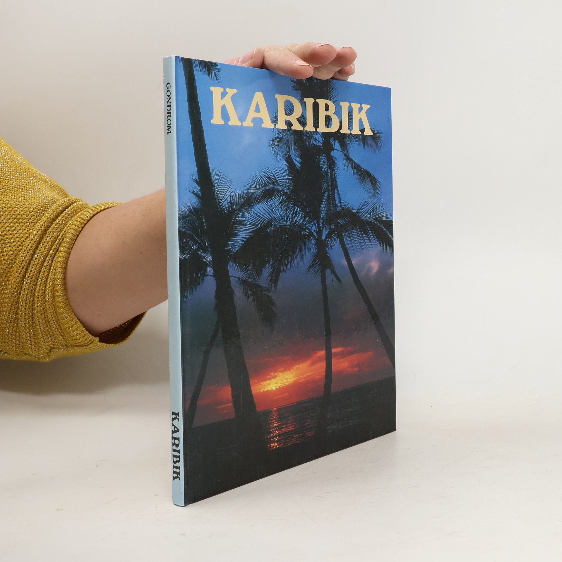 Jürgen Berger Karibik