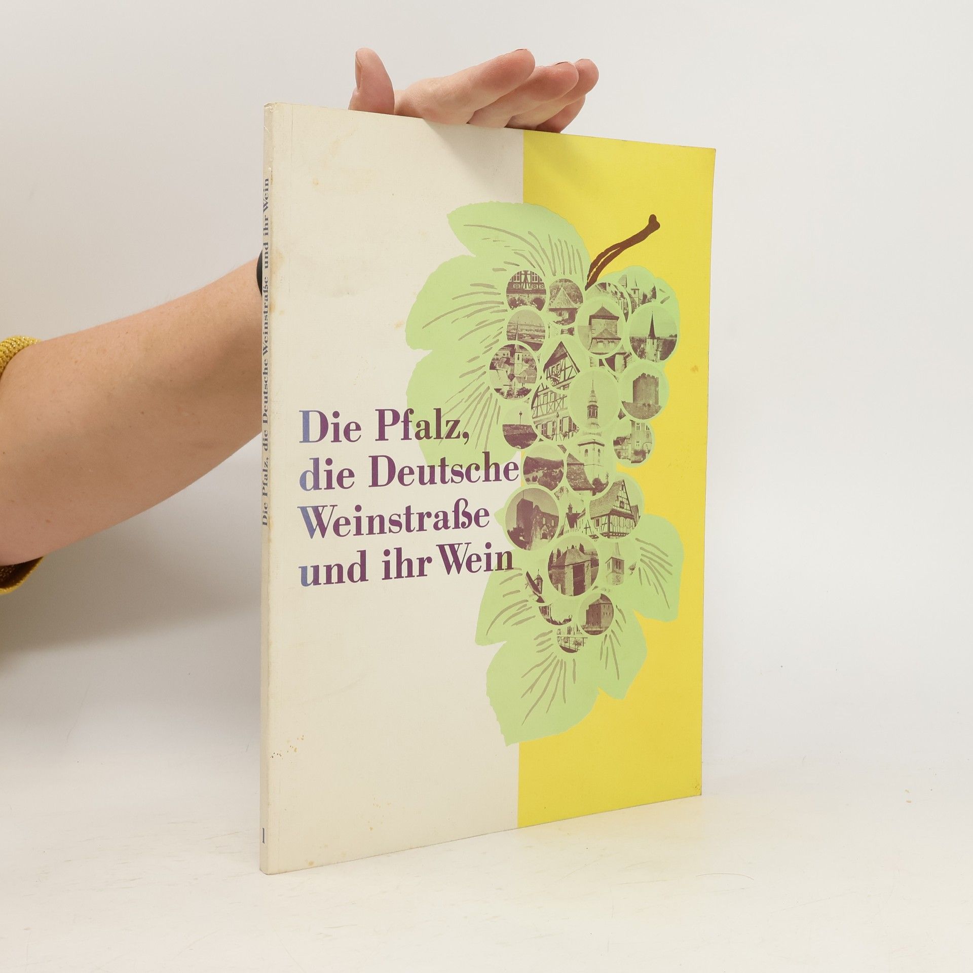 Collectif d'auteurs Die Pfalz, die deutsche Weinstrasse und ihr Wein 1