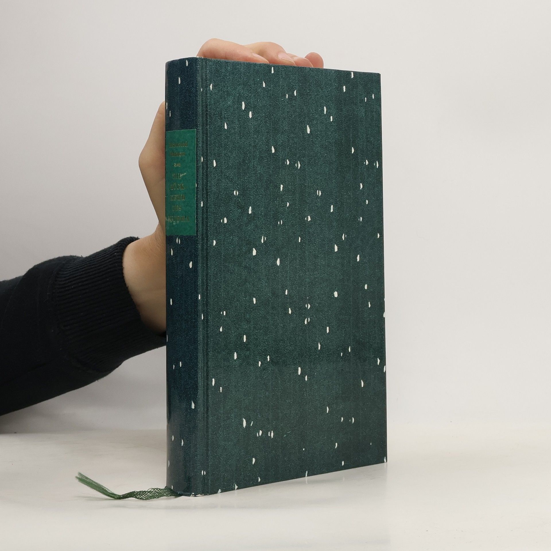 Wsewolod Iwanow Die Rückkehr des Buddha