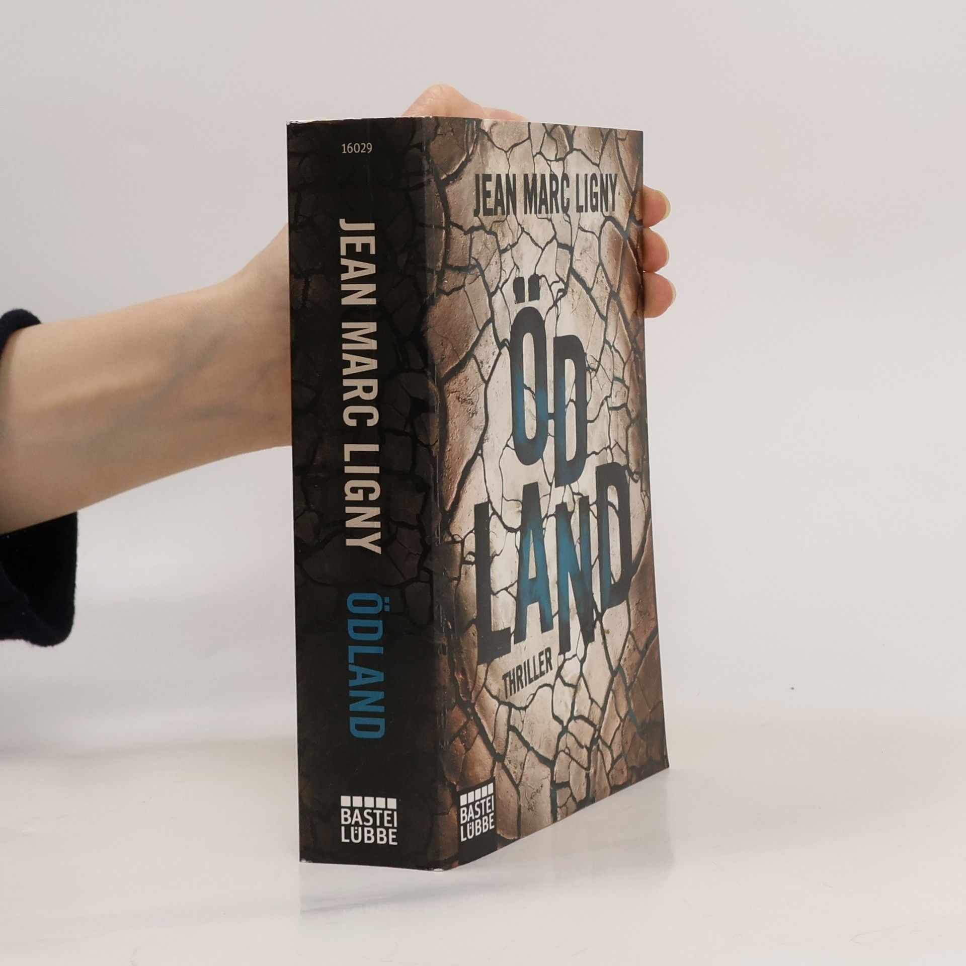 Jean-Marc Ligny Ödland