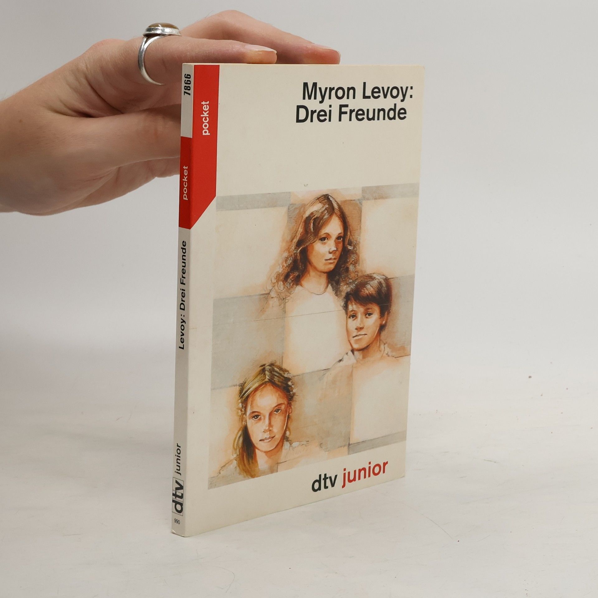 Myron Levoy Drei Freunde