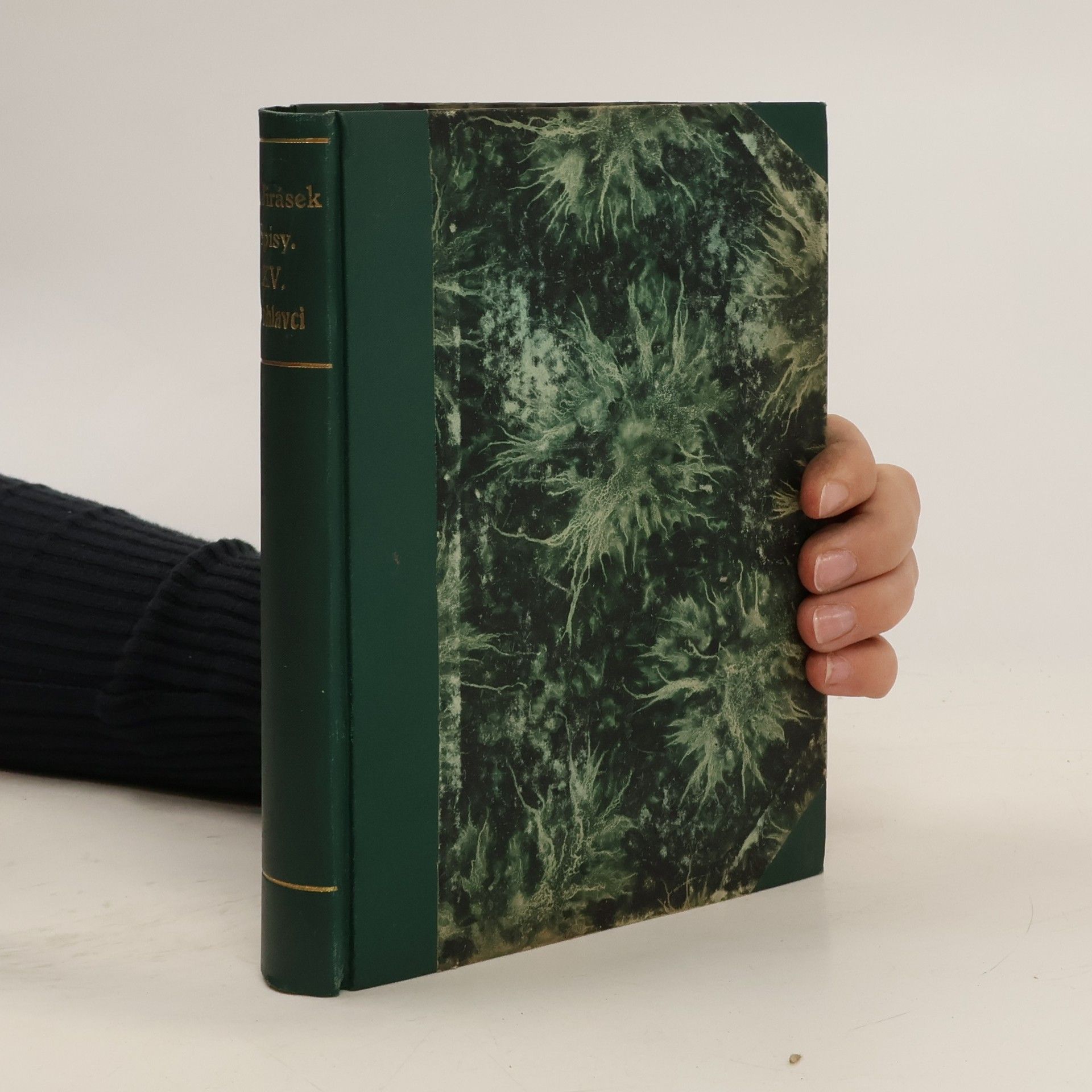 Alois Jirásek Sebrané spisy XV.