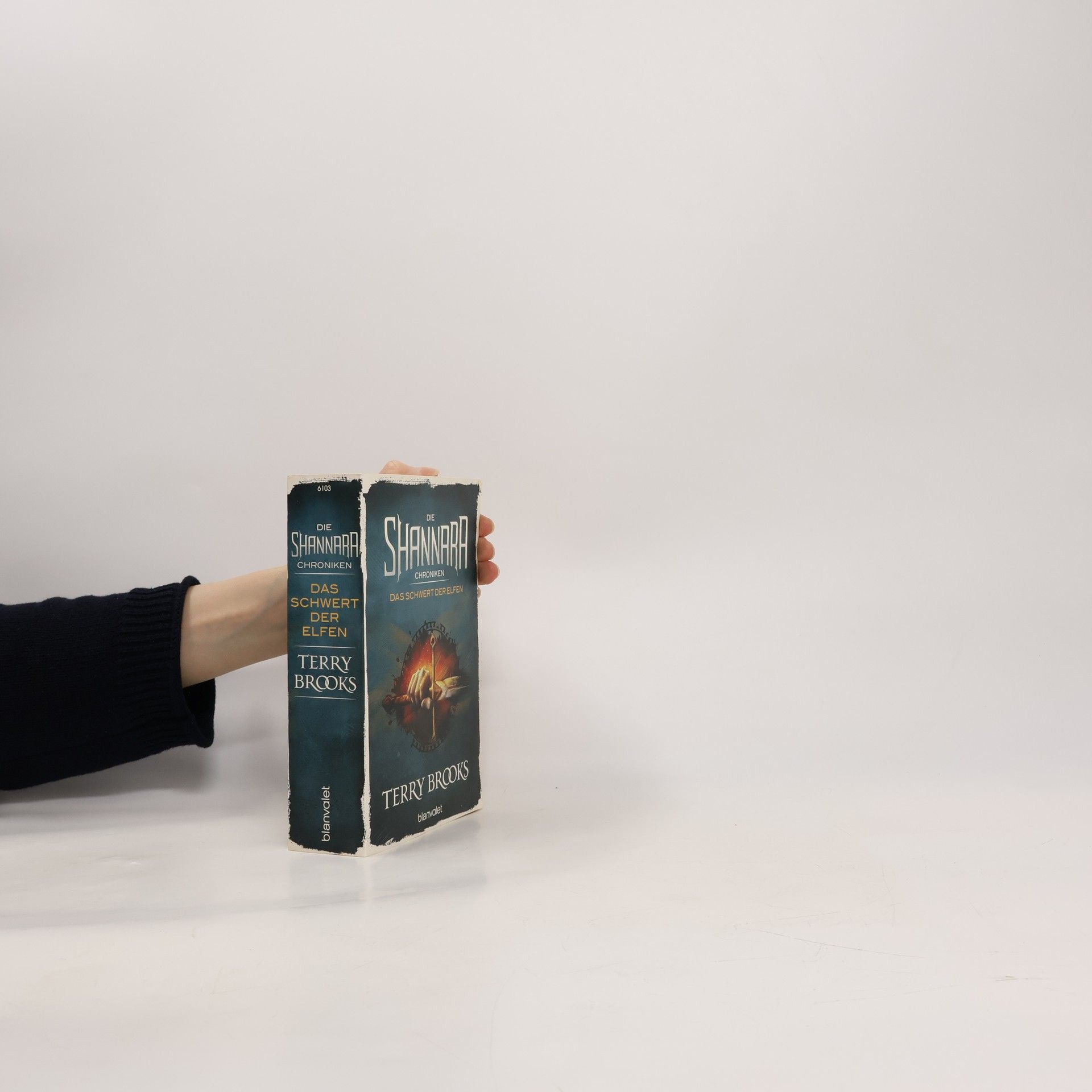 Terry Brooks Die Shannara-Chroniken - das Schwert der Elfen