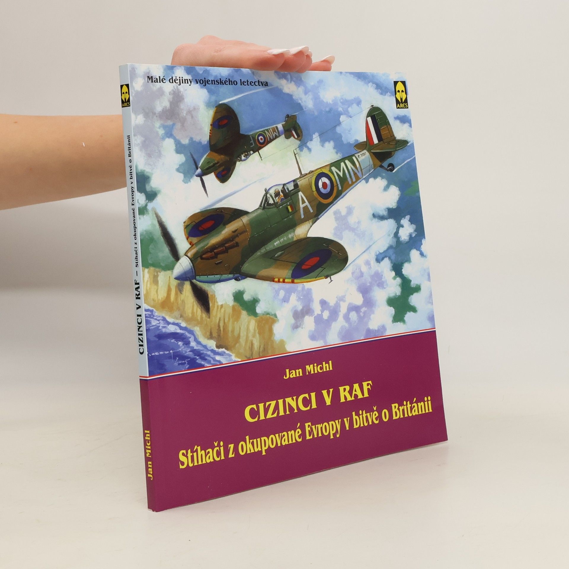 Jan Michl Cizinci v RAF - stíhači z okupované Evropy v bitvě o Británii