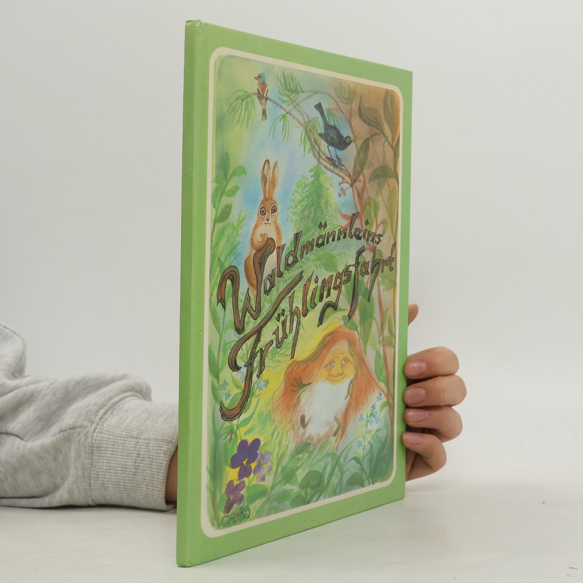 Waldmännleins Frühlingsfahrt