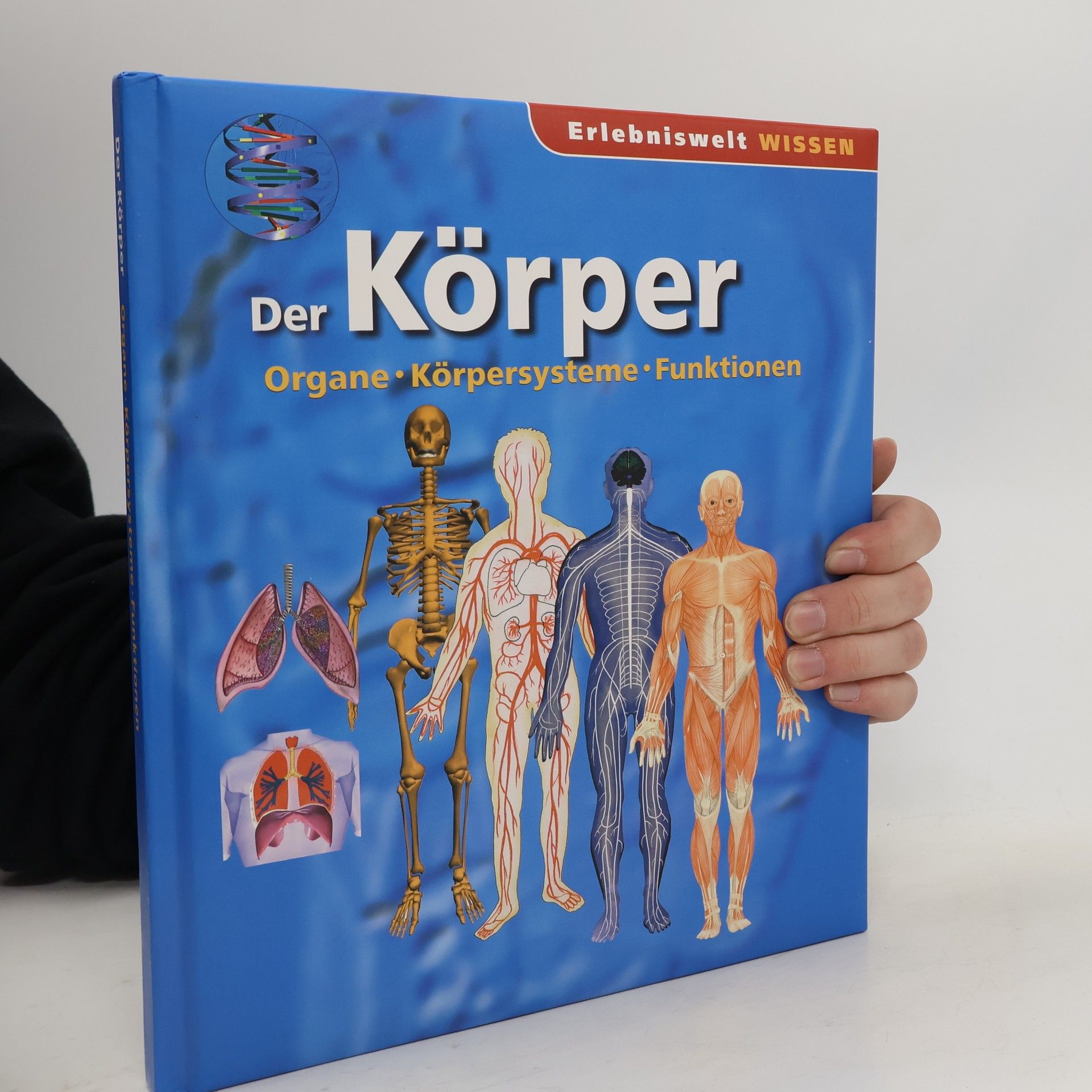 Autorenkollektiv Der Körper