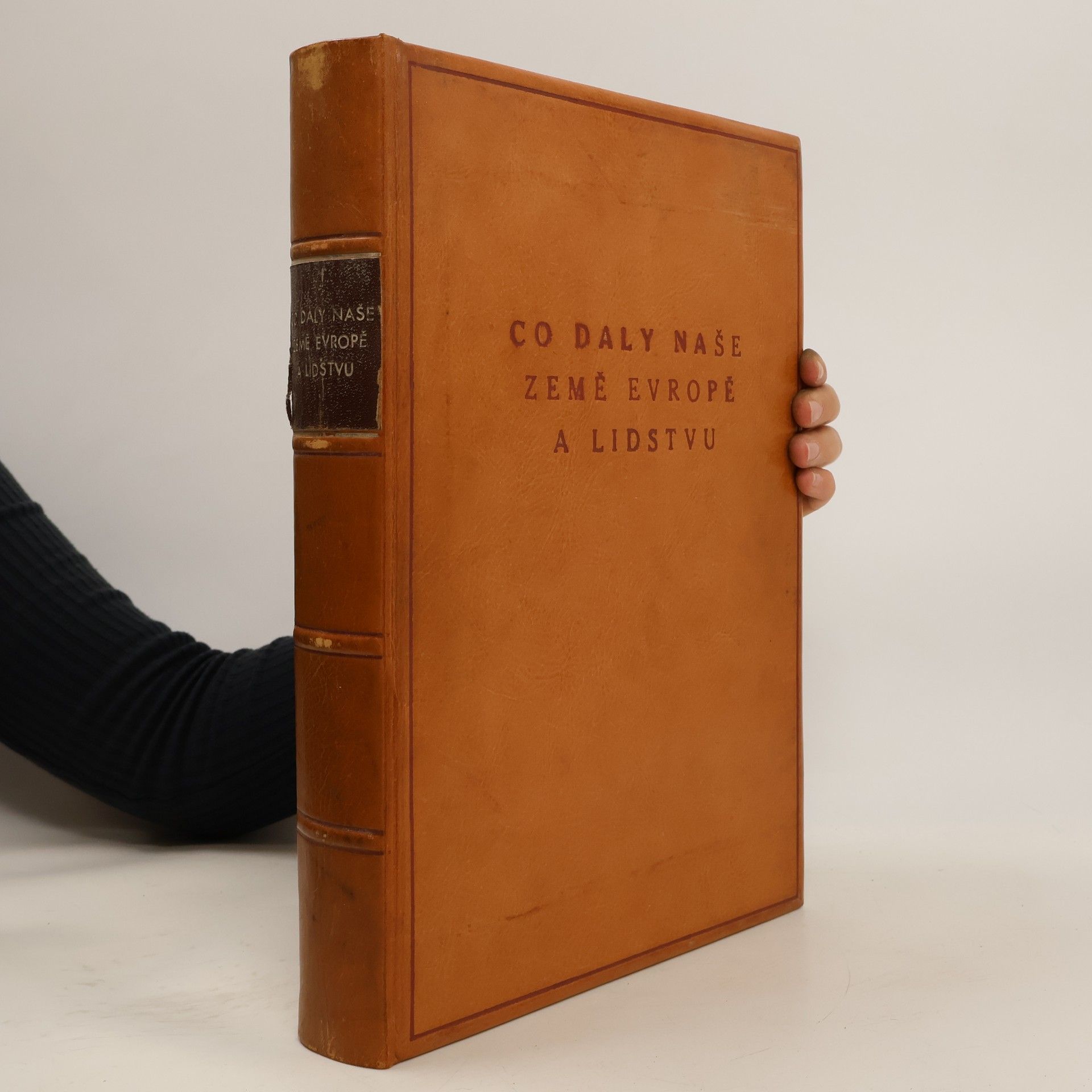 Vilém Mathesius Co daly naše země Evropě a lidstvu