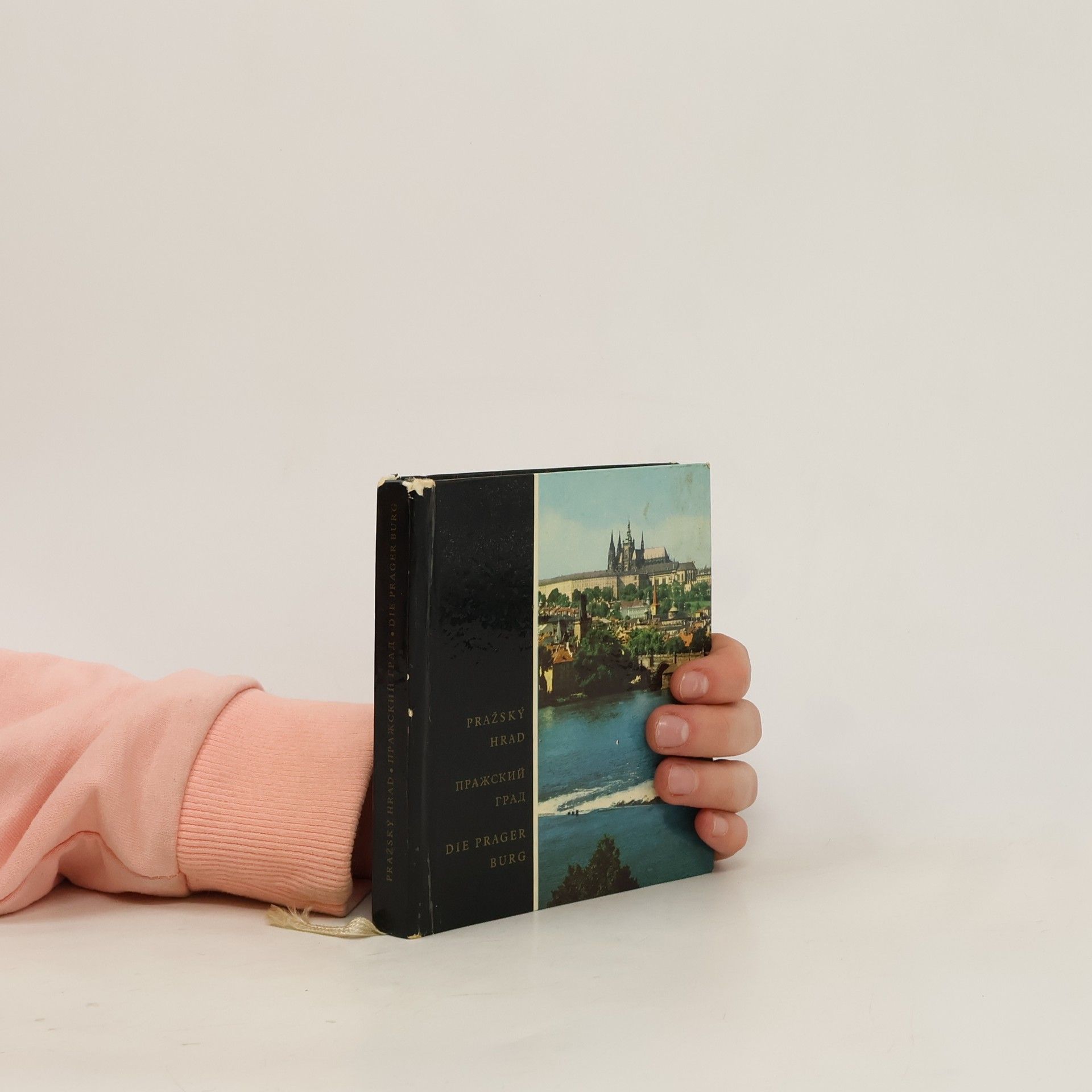 Erich Einhorn Pražský hrad. Pražskij grad. Die Prager Burg