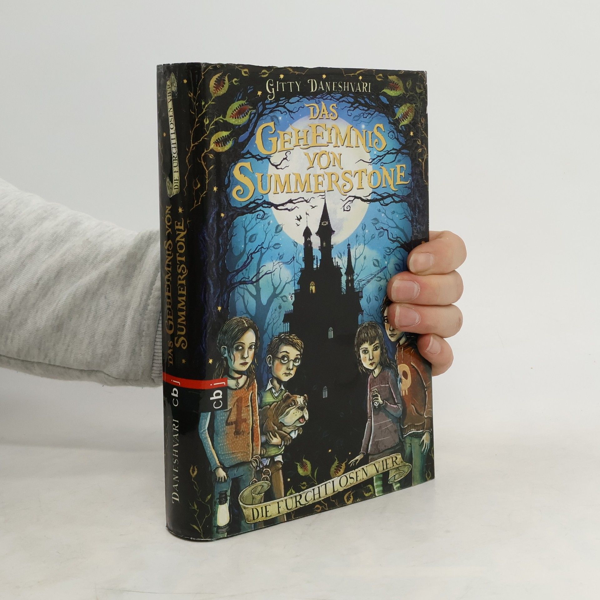 Gitty Daneshvari Das Geheimnis von Summerstone: Die furchtlosen Vier