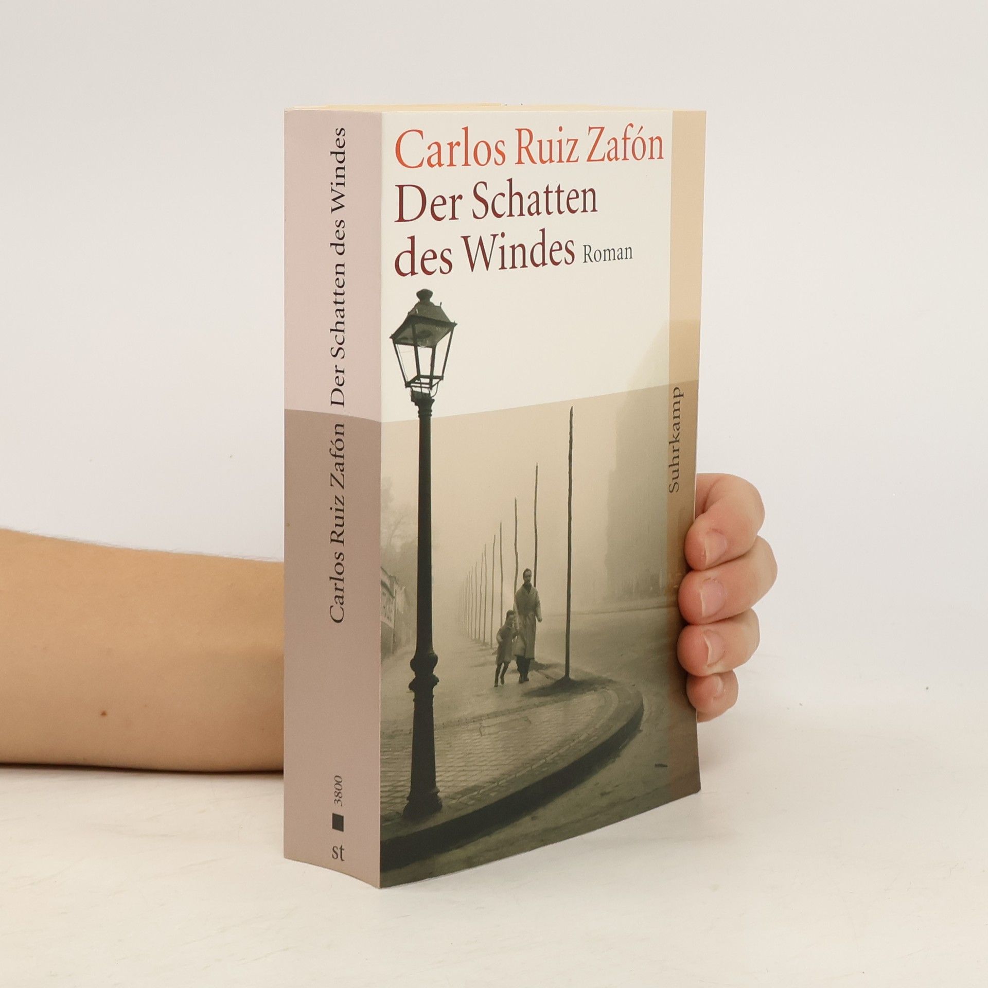 Carlos Ruiz Zafón Der Schatten des Windes