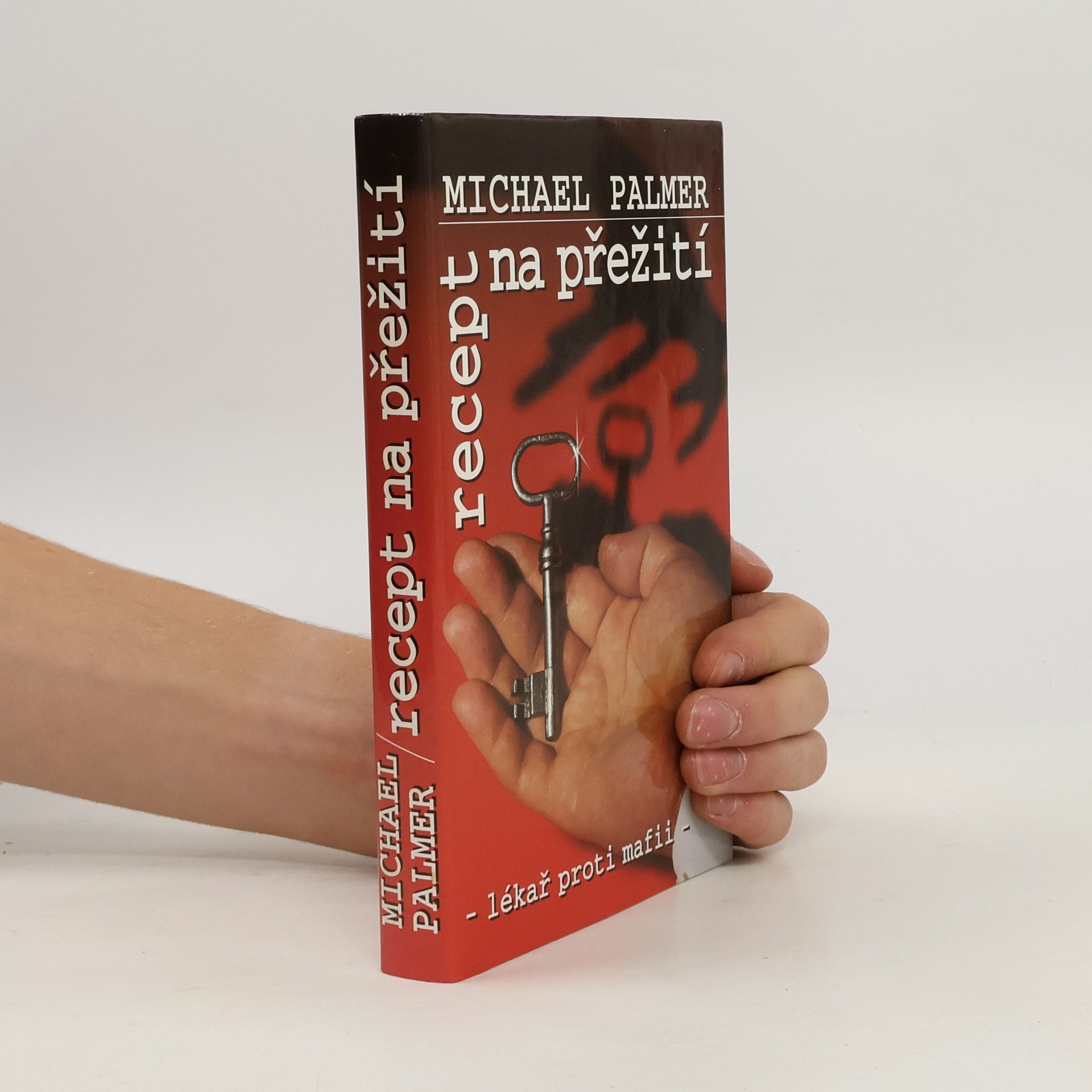 Michael Palmer Recept na přežití