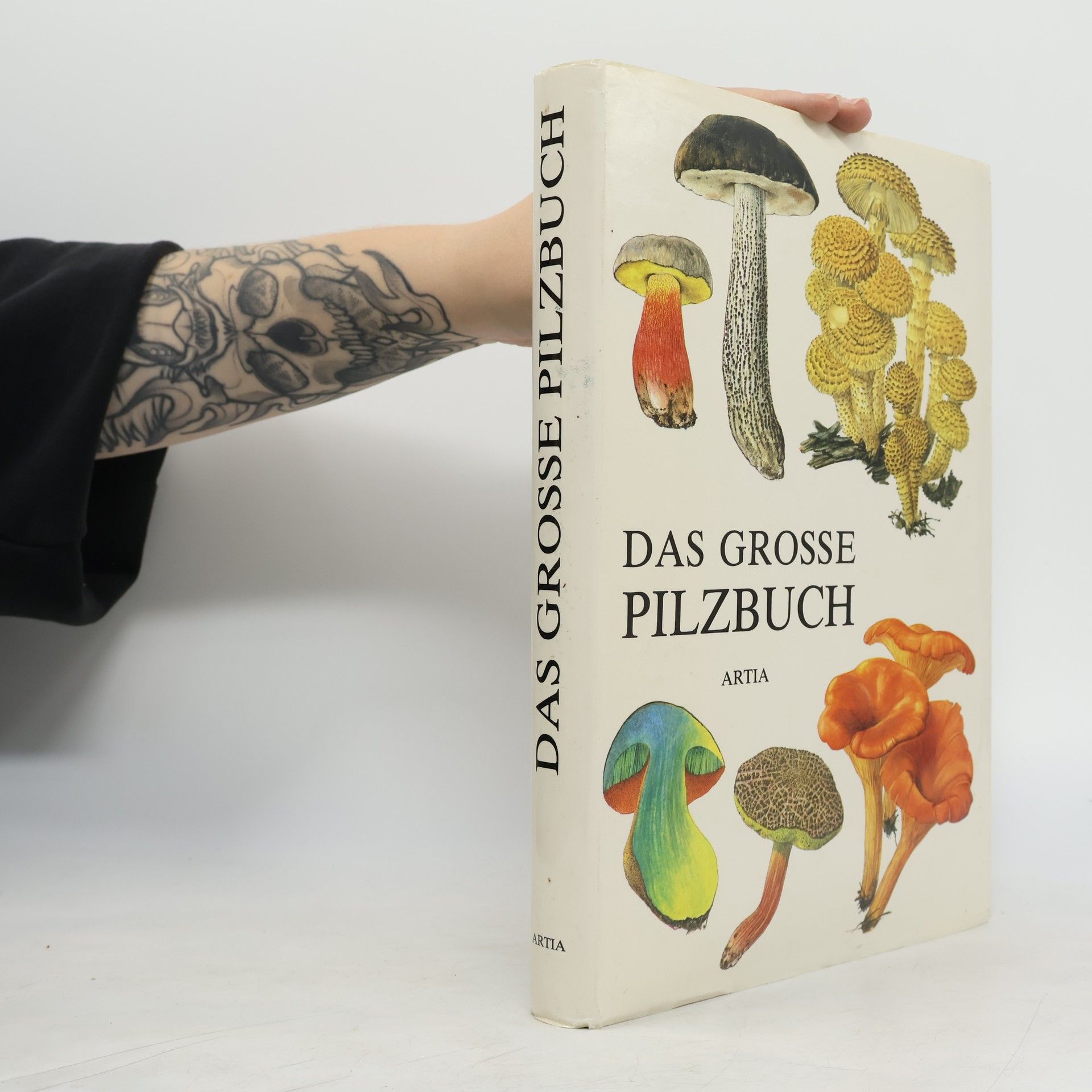 Mirko Svrček Das grosse Pilzbuch