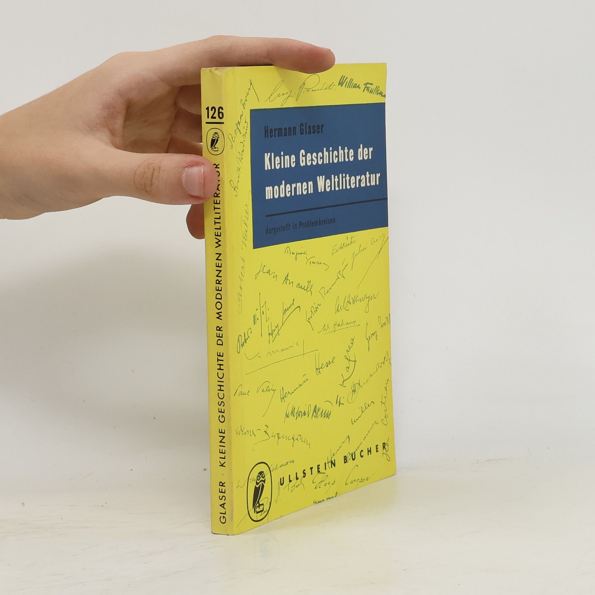 Hermann Glaser Kleine Geschichte der modernen Weltliteratur