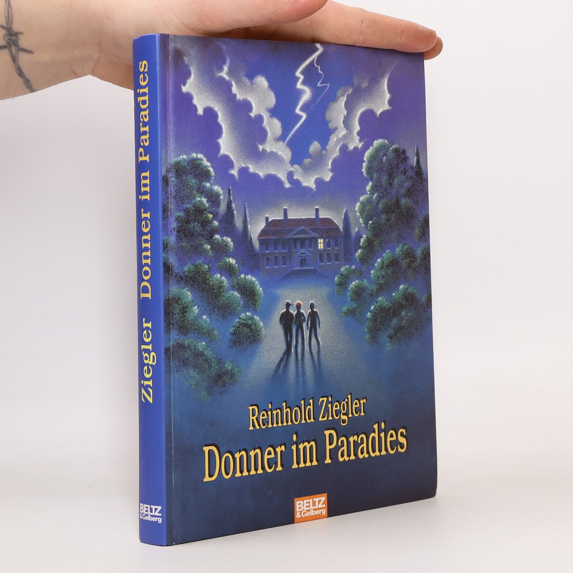 Reinhold Ziegler Donner im Paradies