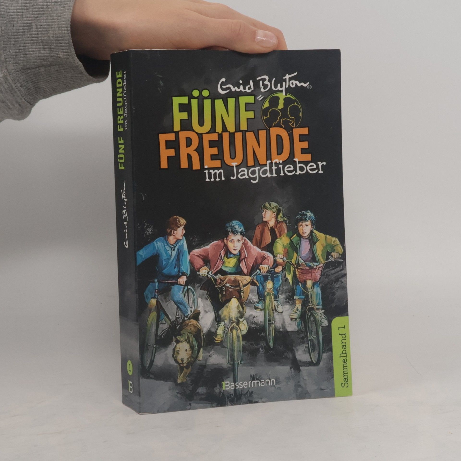 Enid Blyton Fünf Freunde im Jagdfieber