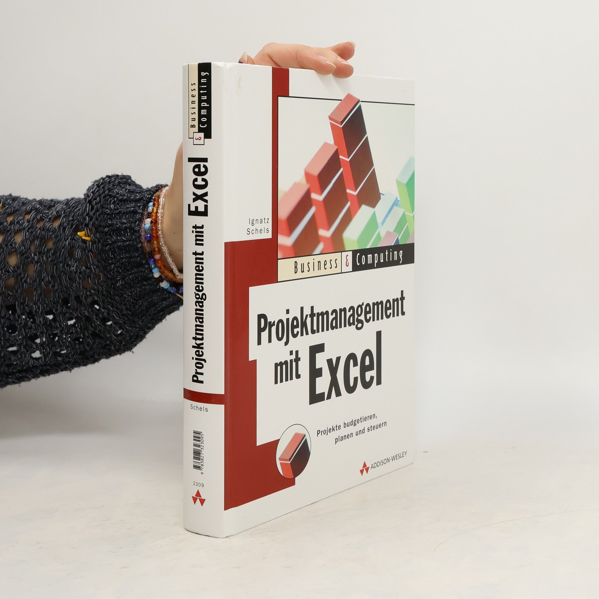 Ignatz Schels Projektmanagement mit Excel. Projekte budgetieren, planen und steuern