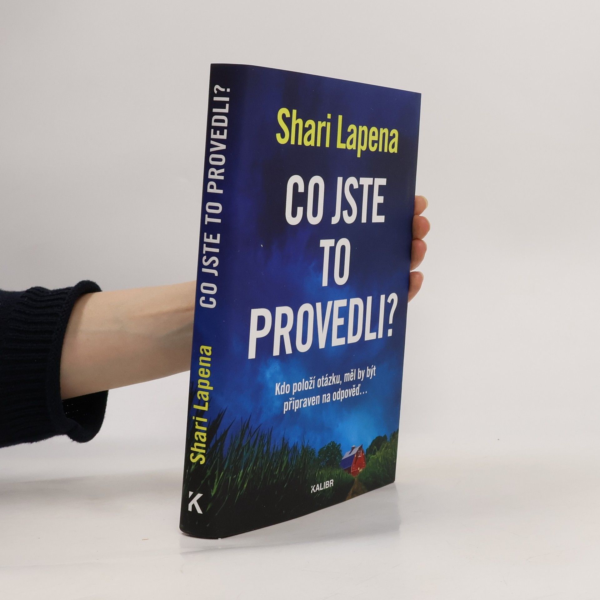 Shari Lapena Co jste to provedli?