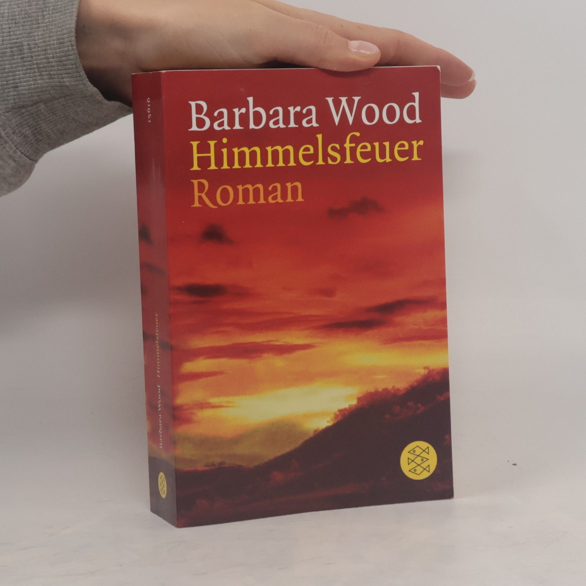 Barbara Wood Himmelsfeuer