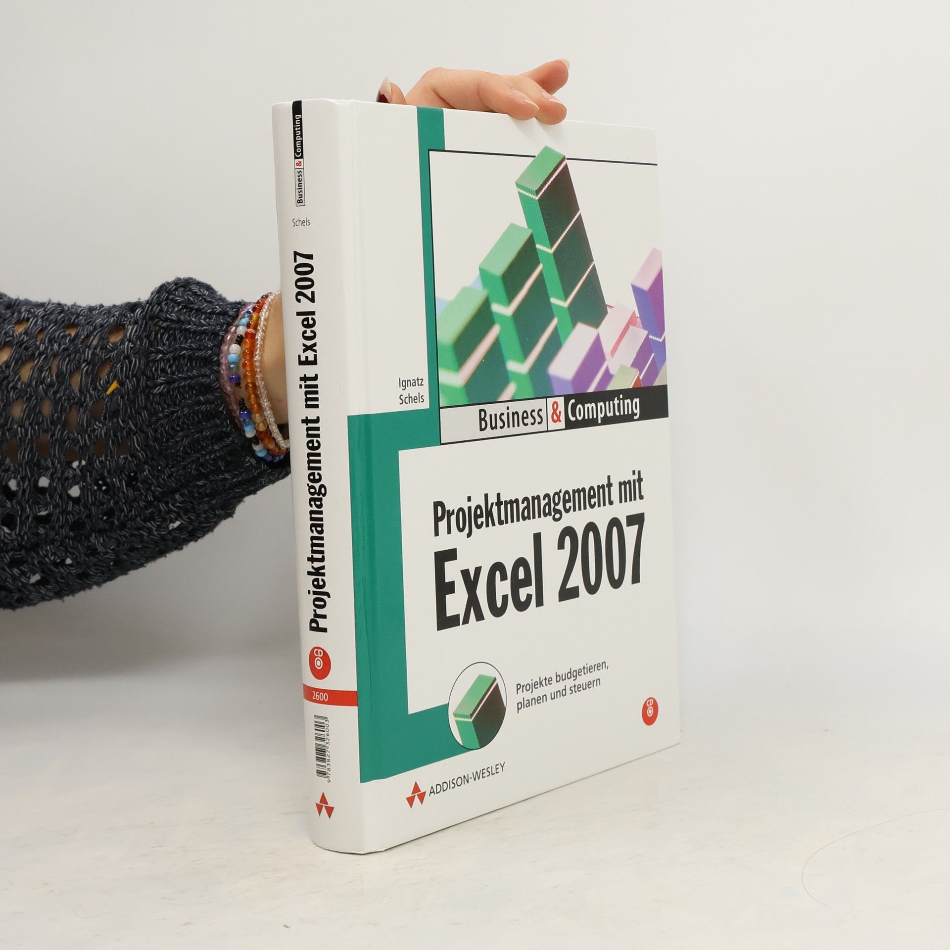 Ignatz Schels Projektmanagement mit Excel 2007