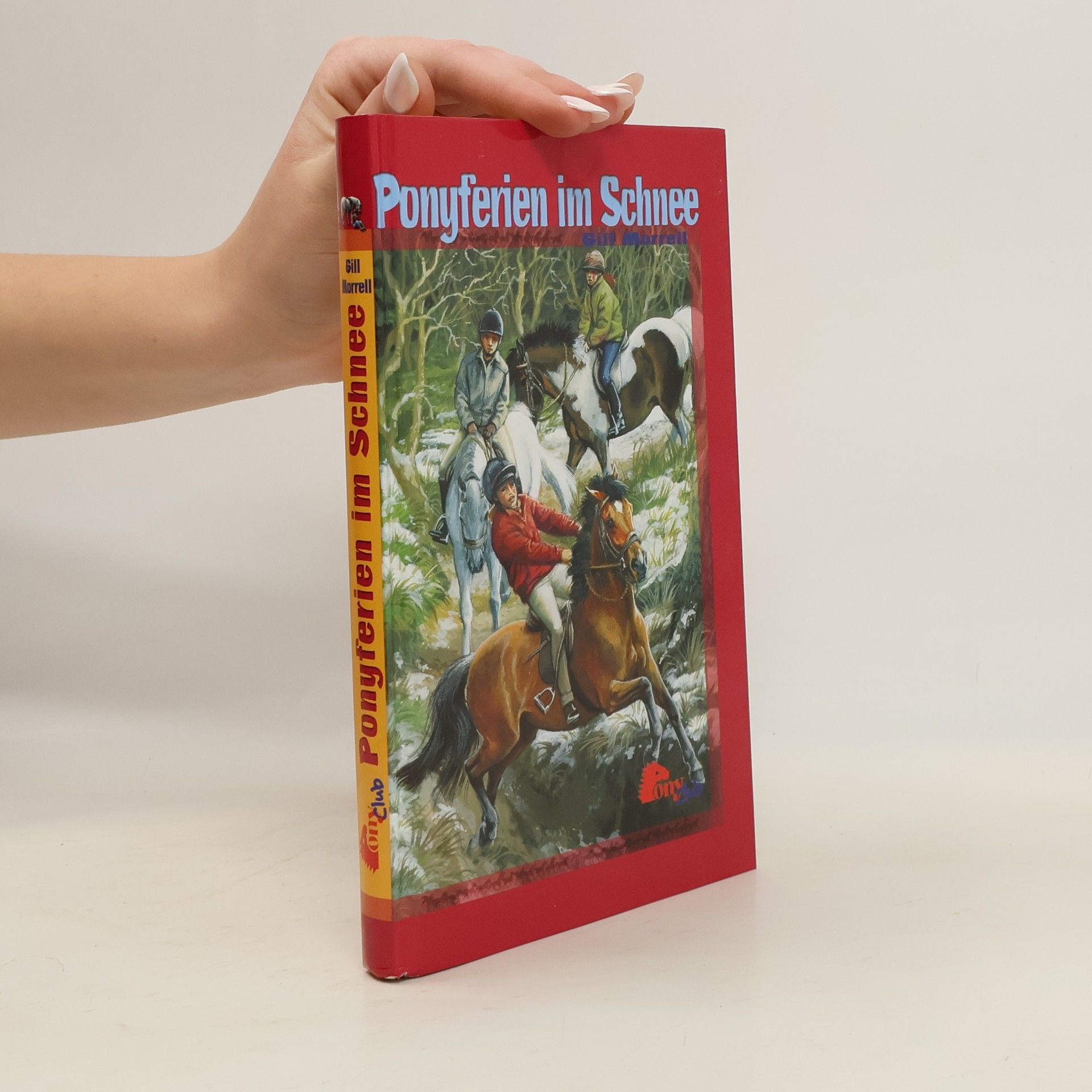 Gill Morell Ponyferien im Schnee