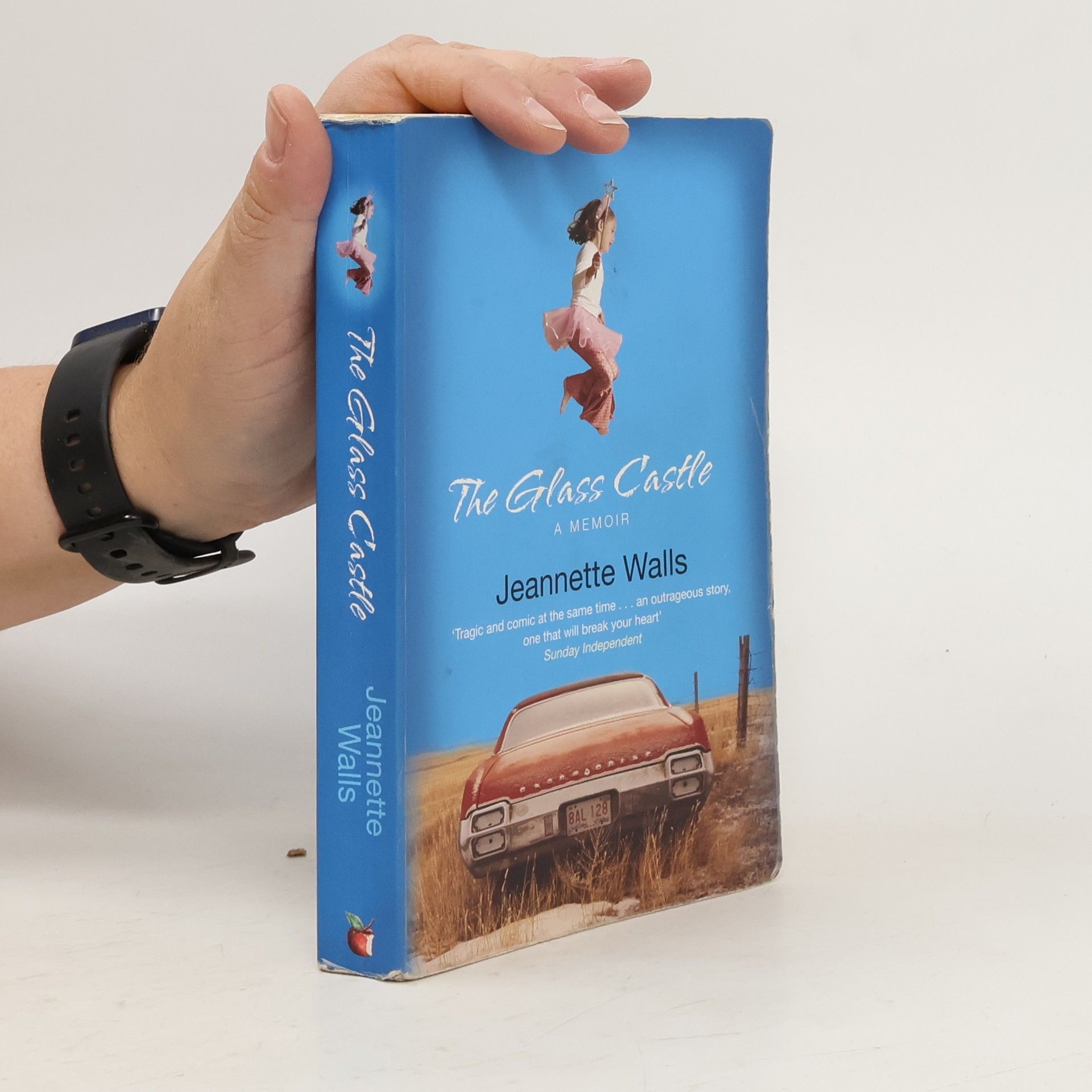 Jeannette Walls The glass castle