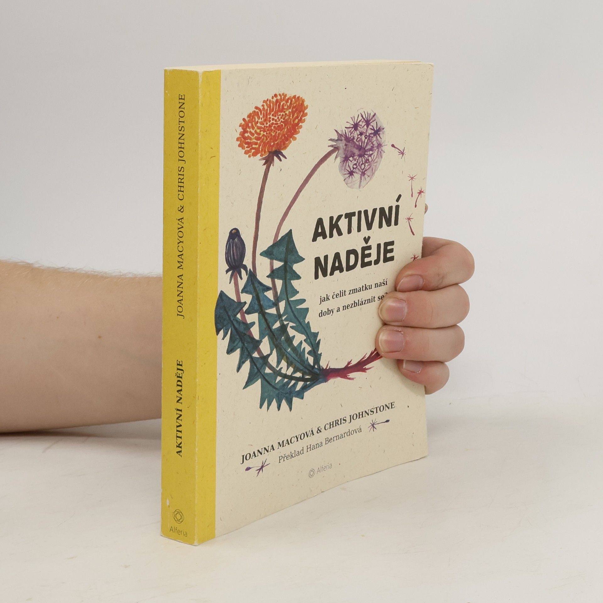 Joanna Macy Aktivní naděje