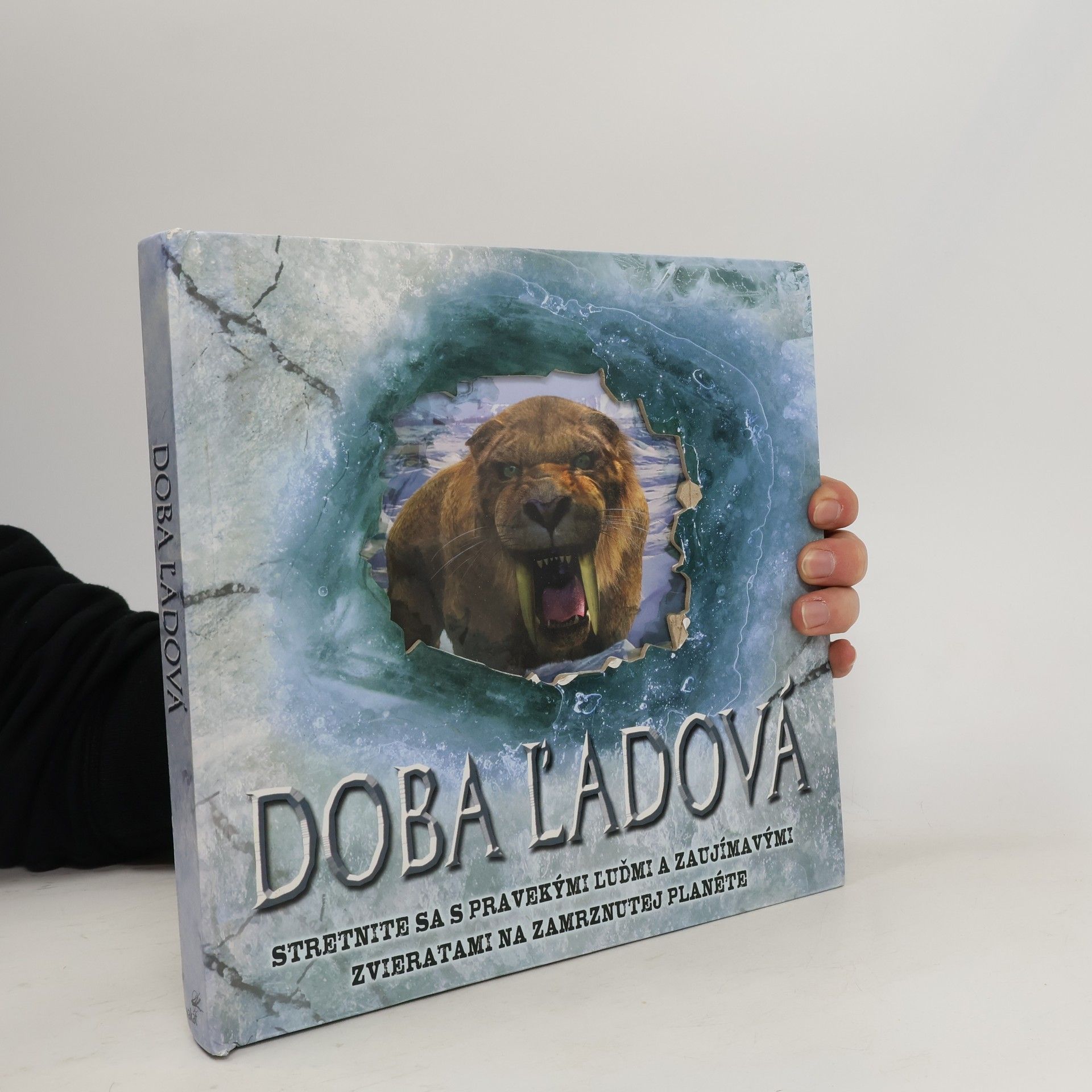 Auteurscollectief Doba ľadová