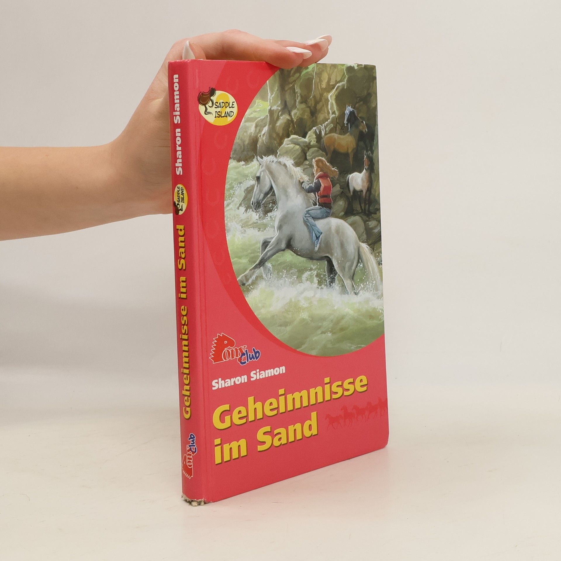 Sharon Siamon Geheimnisse im Sand