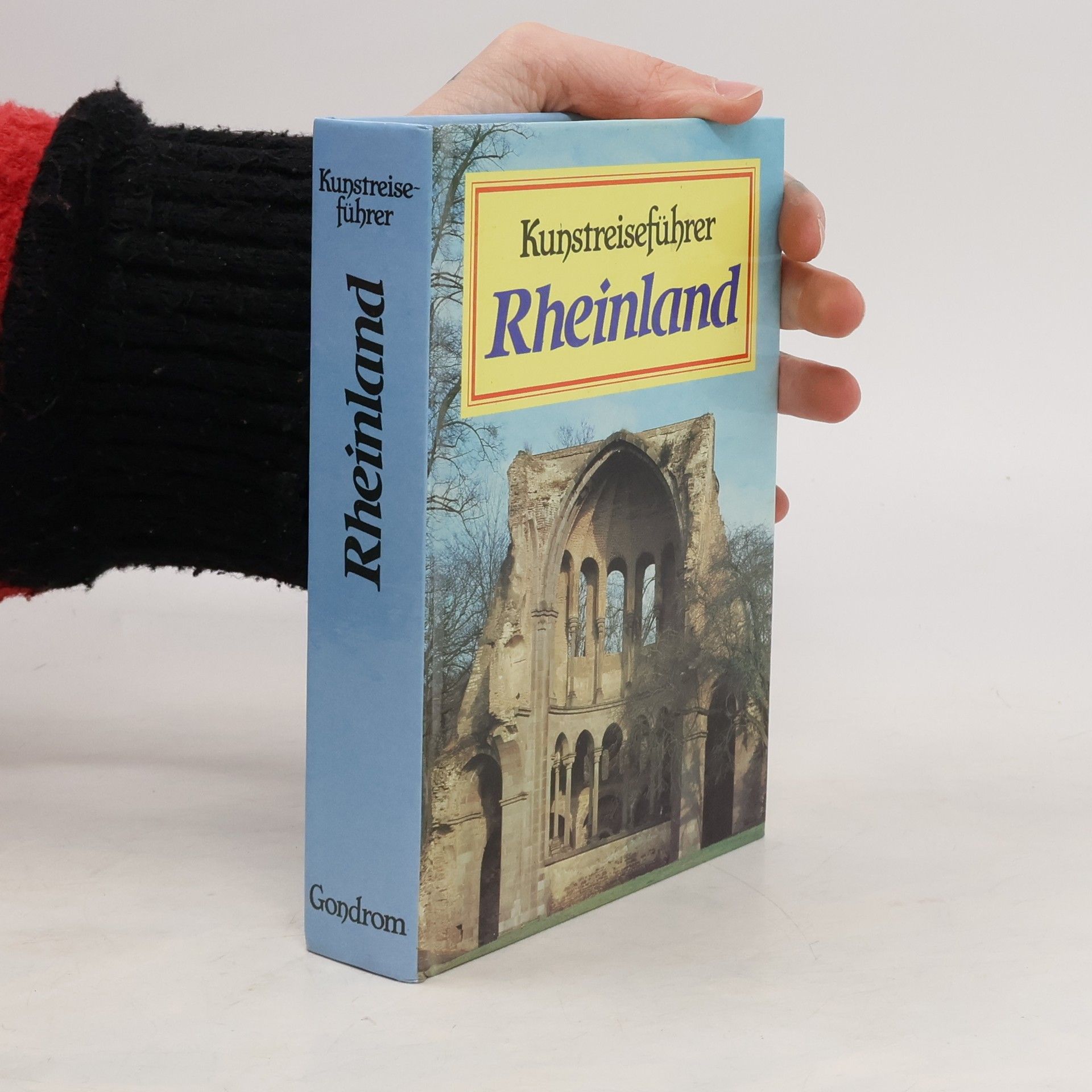 Roland Günter Kunstreiseführer Rheinland