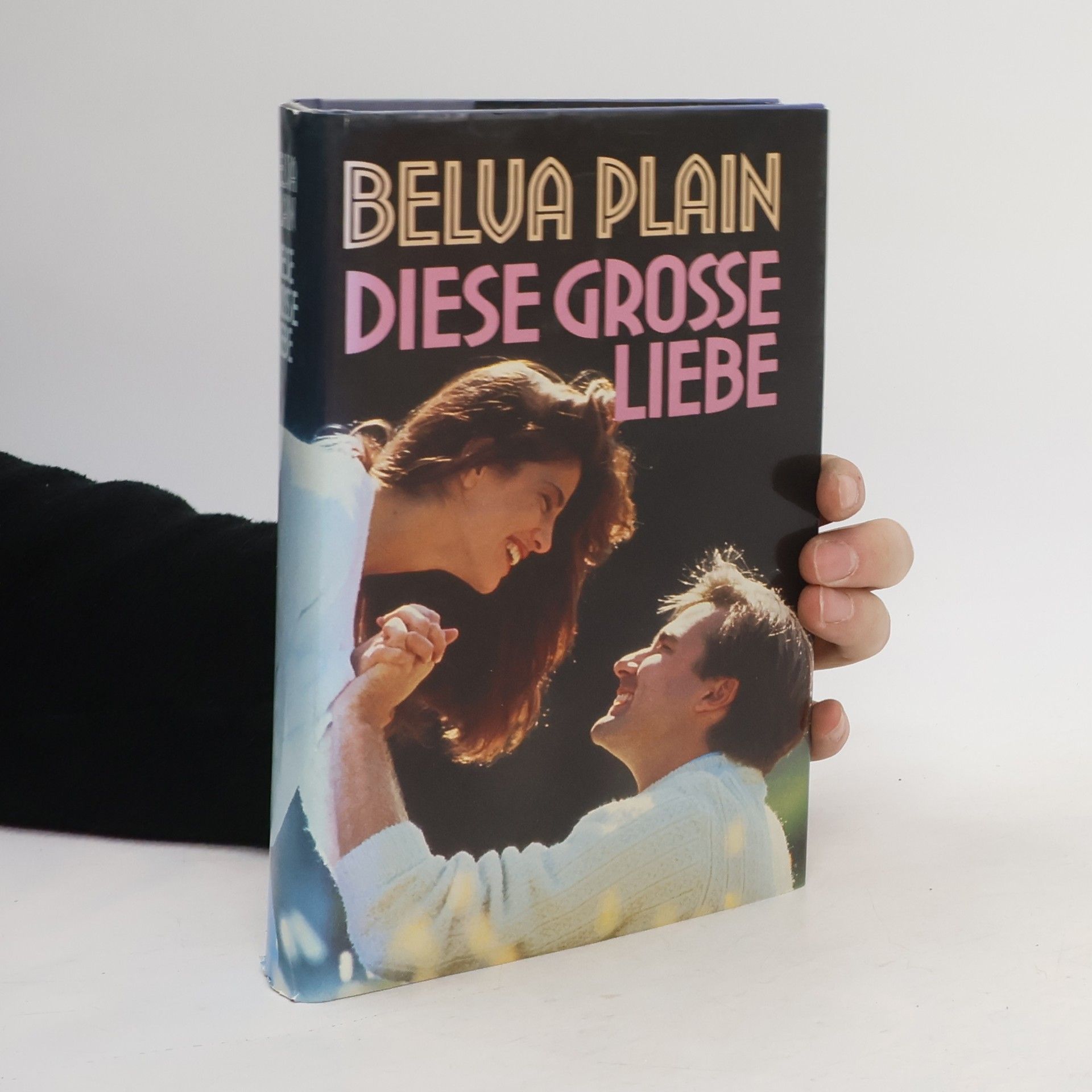 Belva Plain Diese grosse Liebe