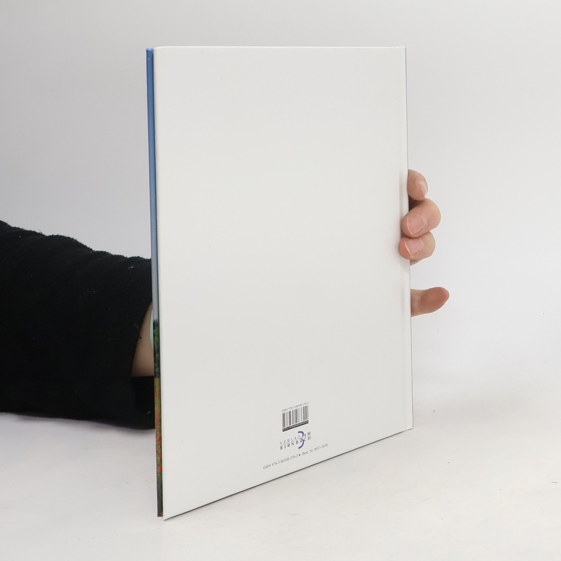 Jörg Wilkesmann Brandtner Heiterkeit ist der Himmel, unter dem alles gedeiht