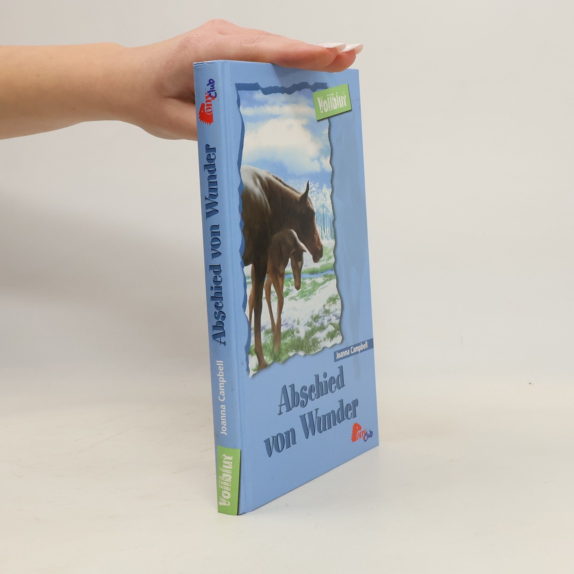 Joanna Campbell Abschied von Wunder