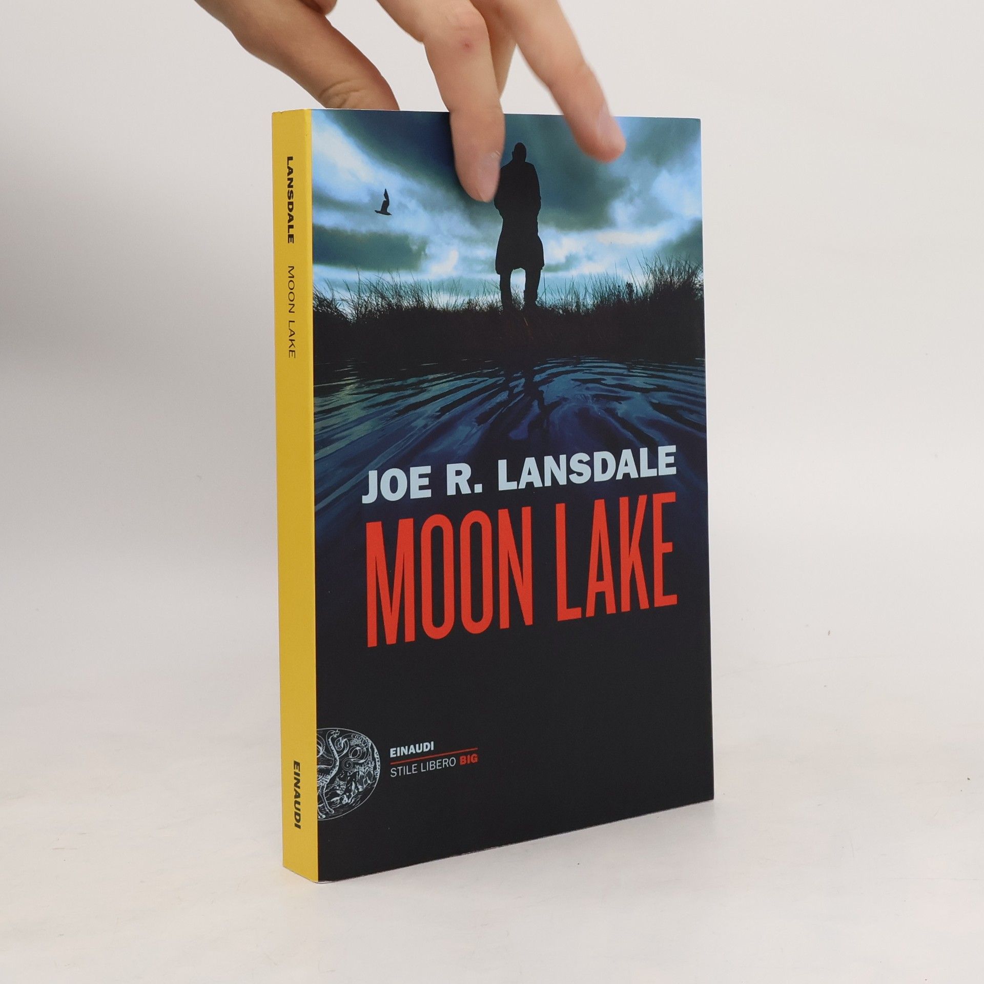 Luca Briasco Moon Lake