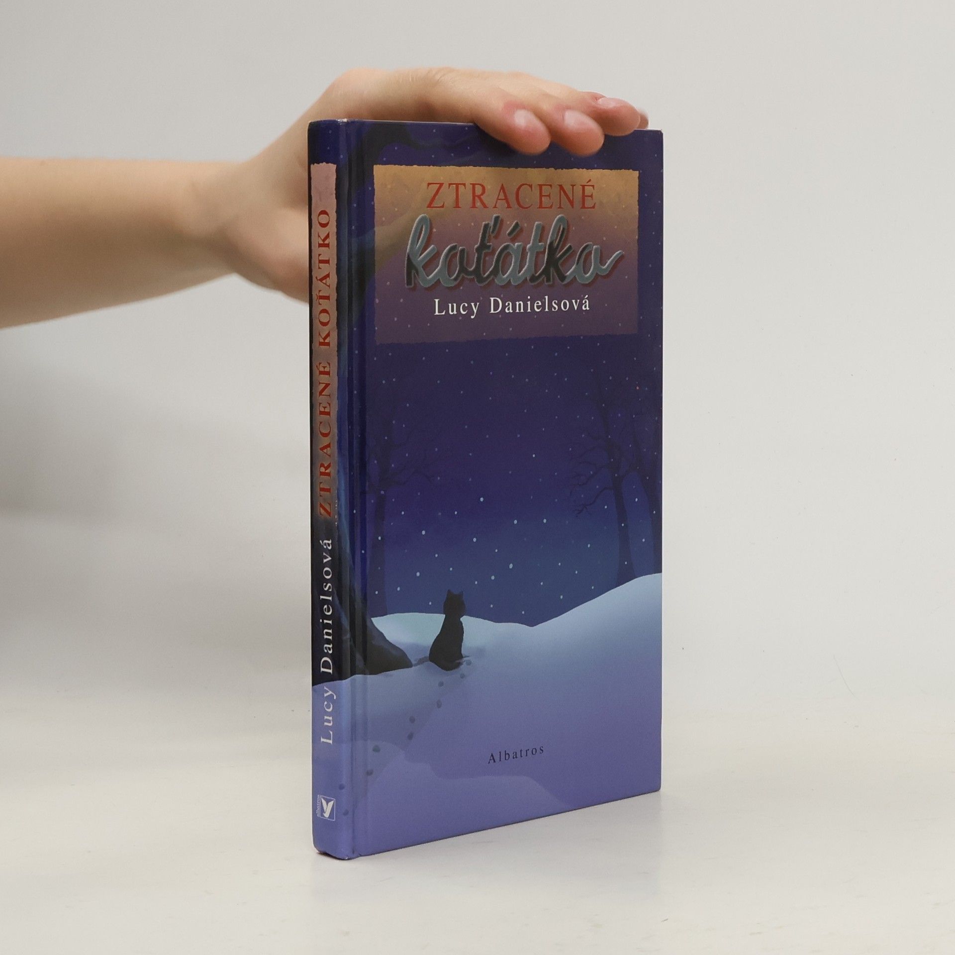 Lucy Daniels Ztracené koťátko