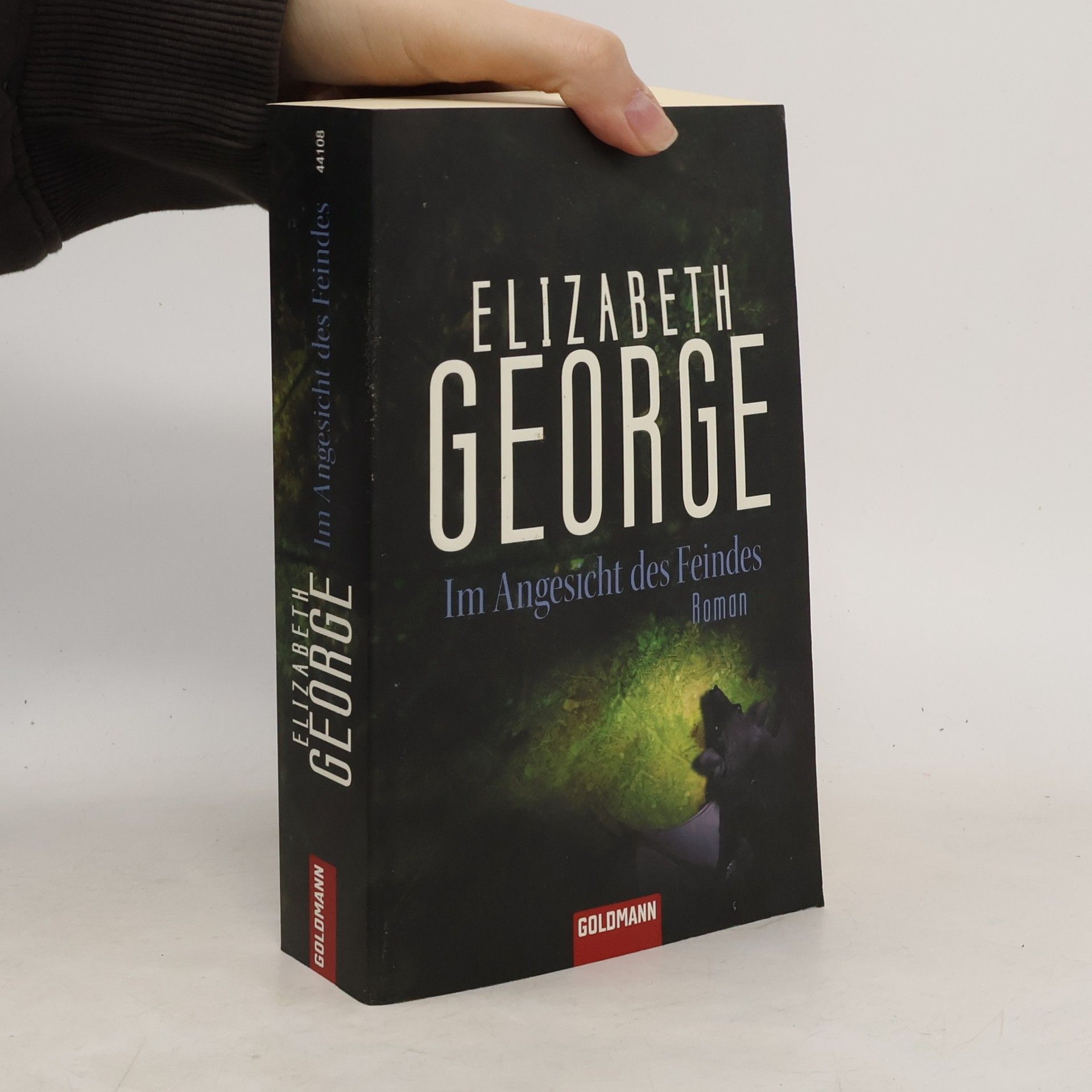 Elizabeth George Im Angesicht des Feindes