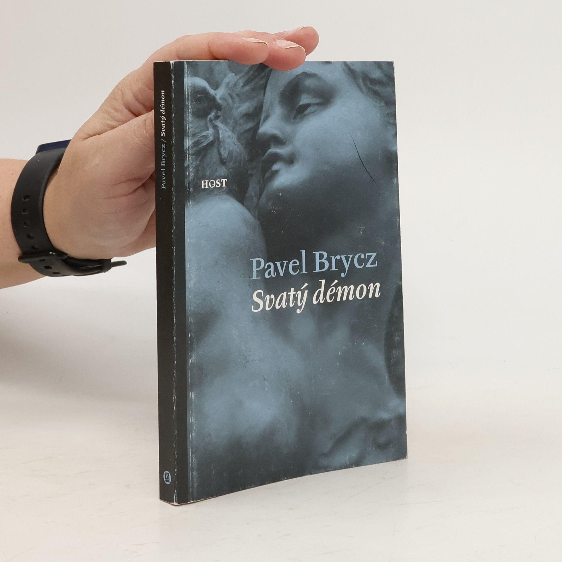 Pavel Brycz Svatý démon