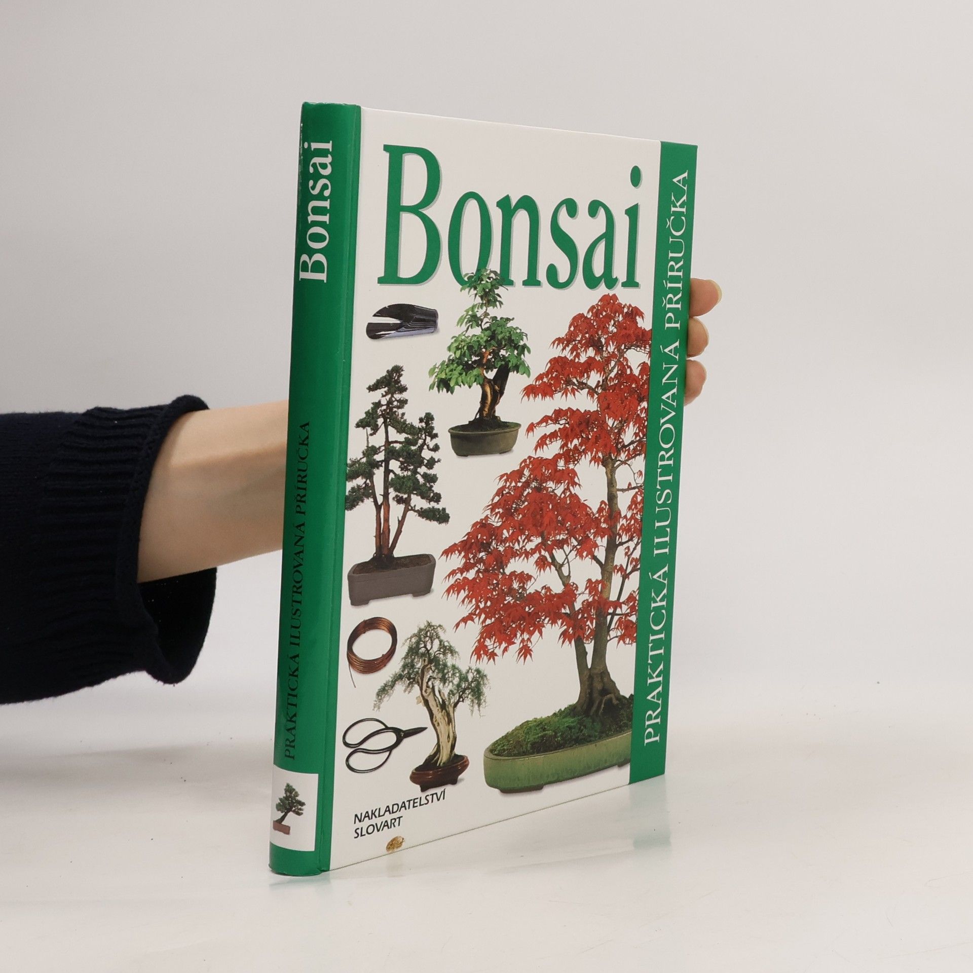 Dana Wiesnerová Bonsai. Praktická ilustrovaná příručka