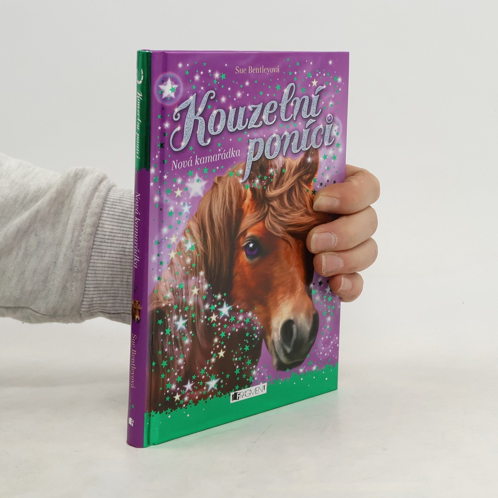 Sue Bentley Nová kamarádka